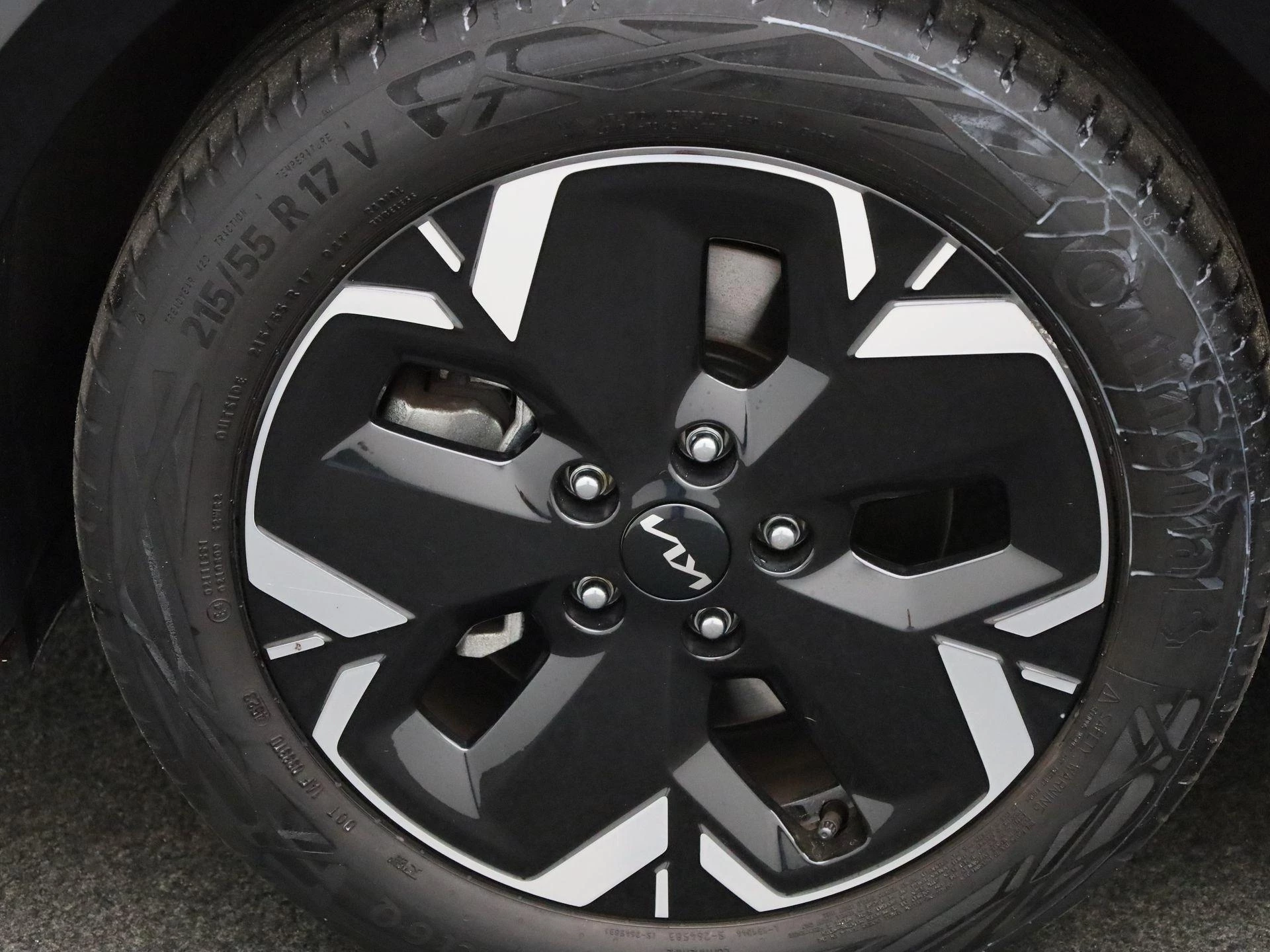 Kia-Niro EV-image-15