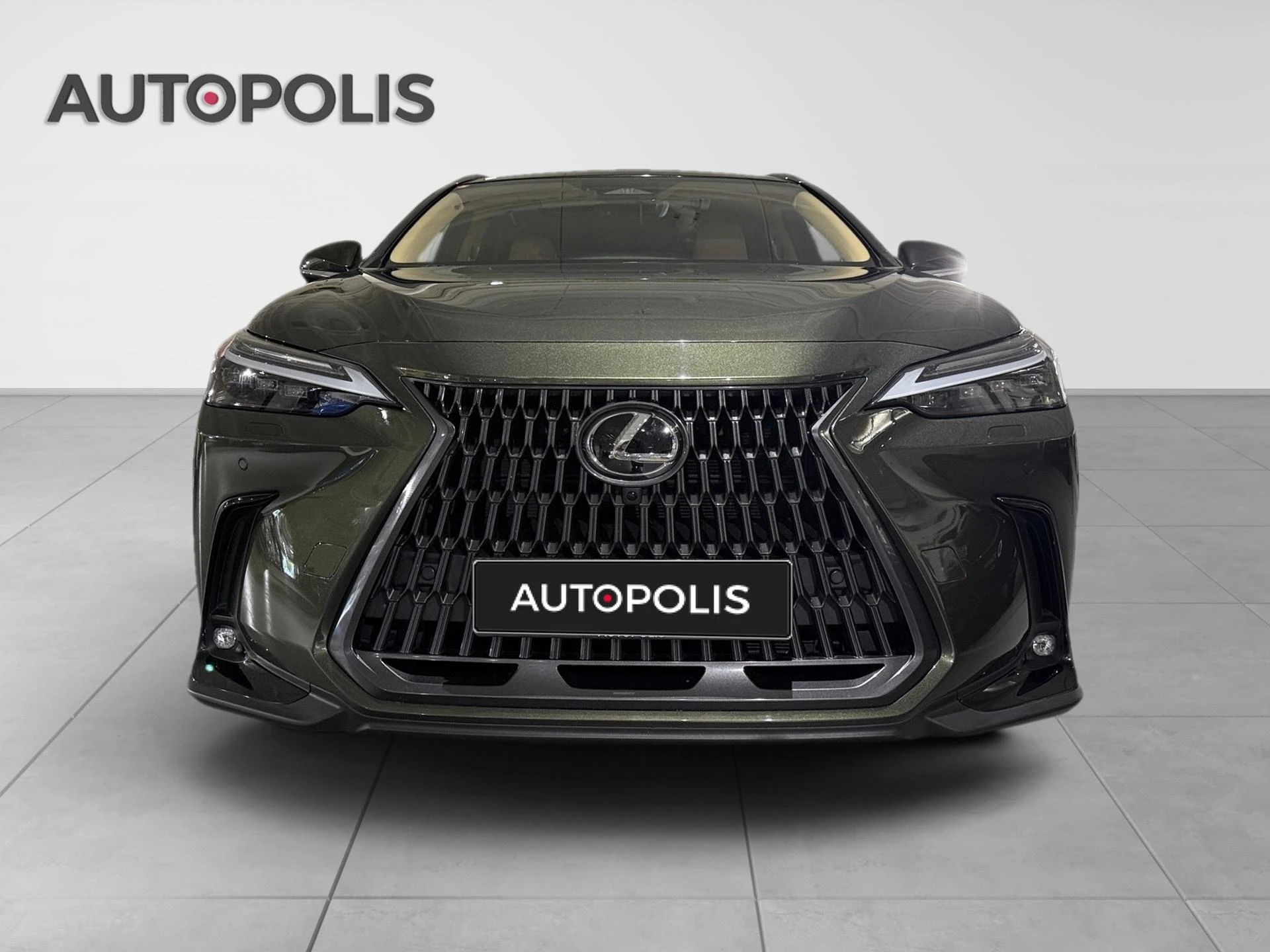 Lexus-NX-image-14