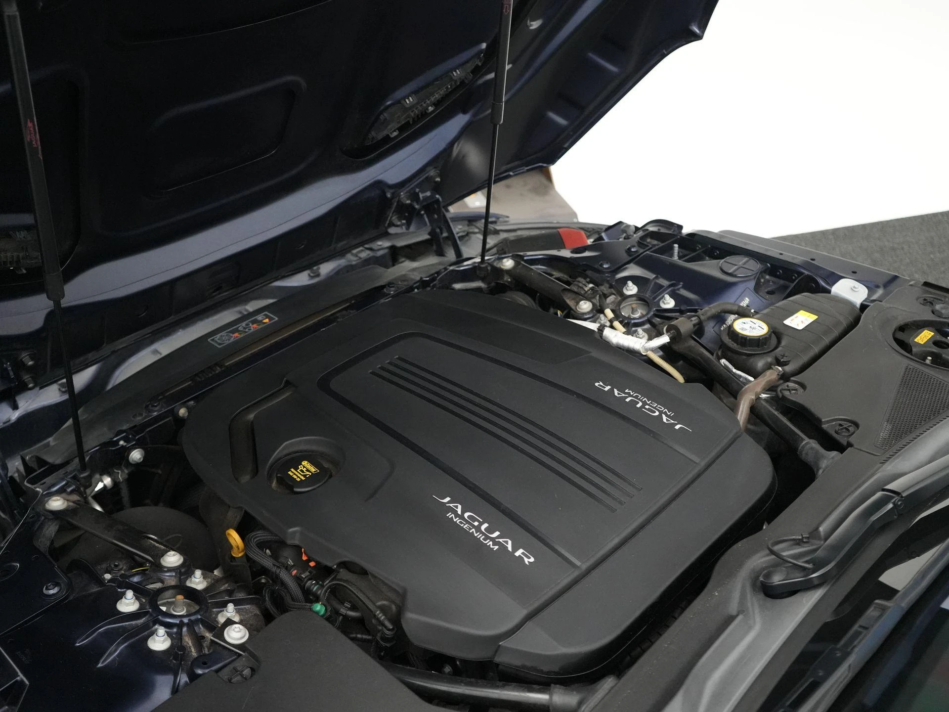 Jaguar F-TYPE P300 RWD First Edition