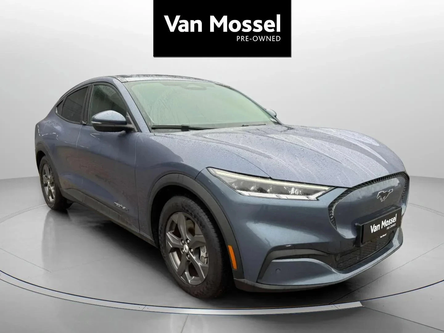 Ford-Mustang Mach-E-image-2