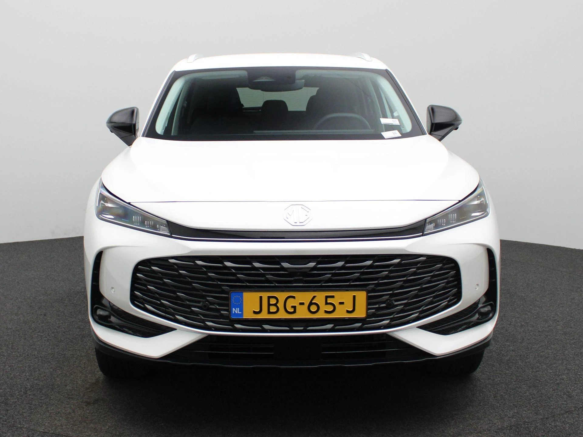 MG-HS-image-2