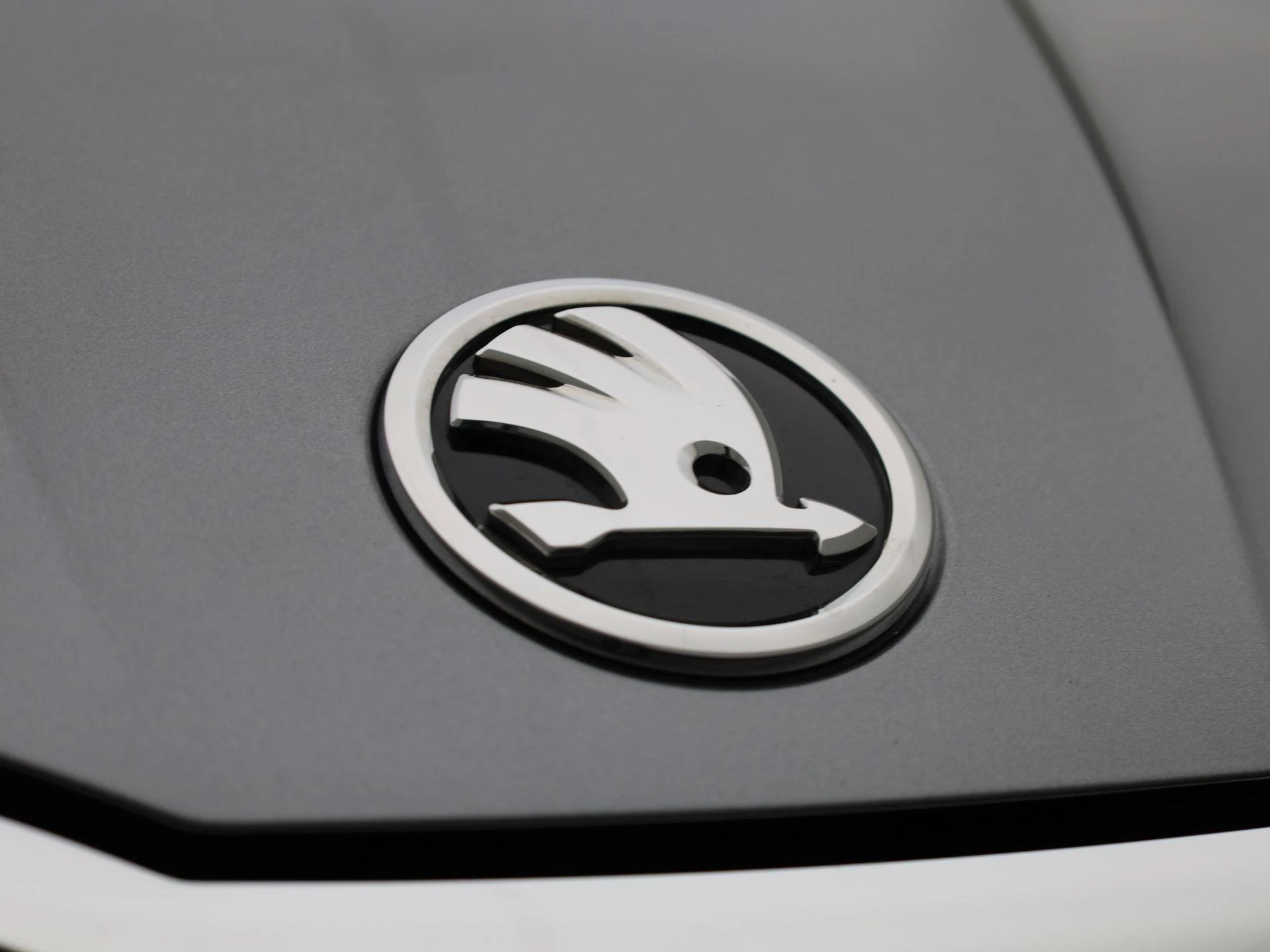 Škoda-Fabia-image-38