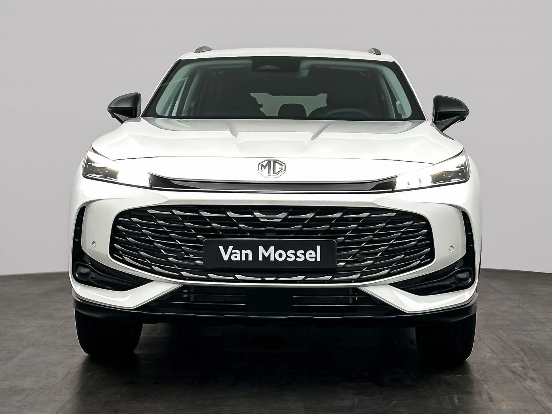 MG-HS-image-7