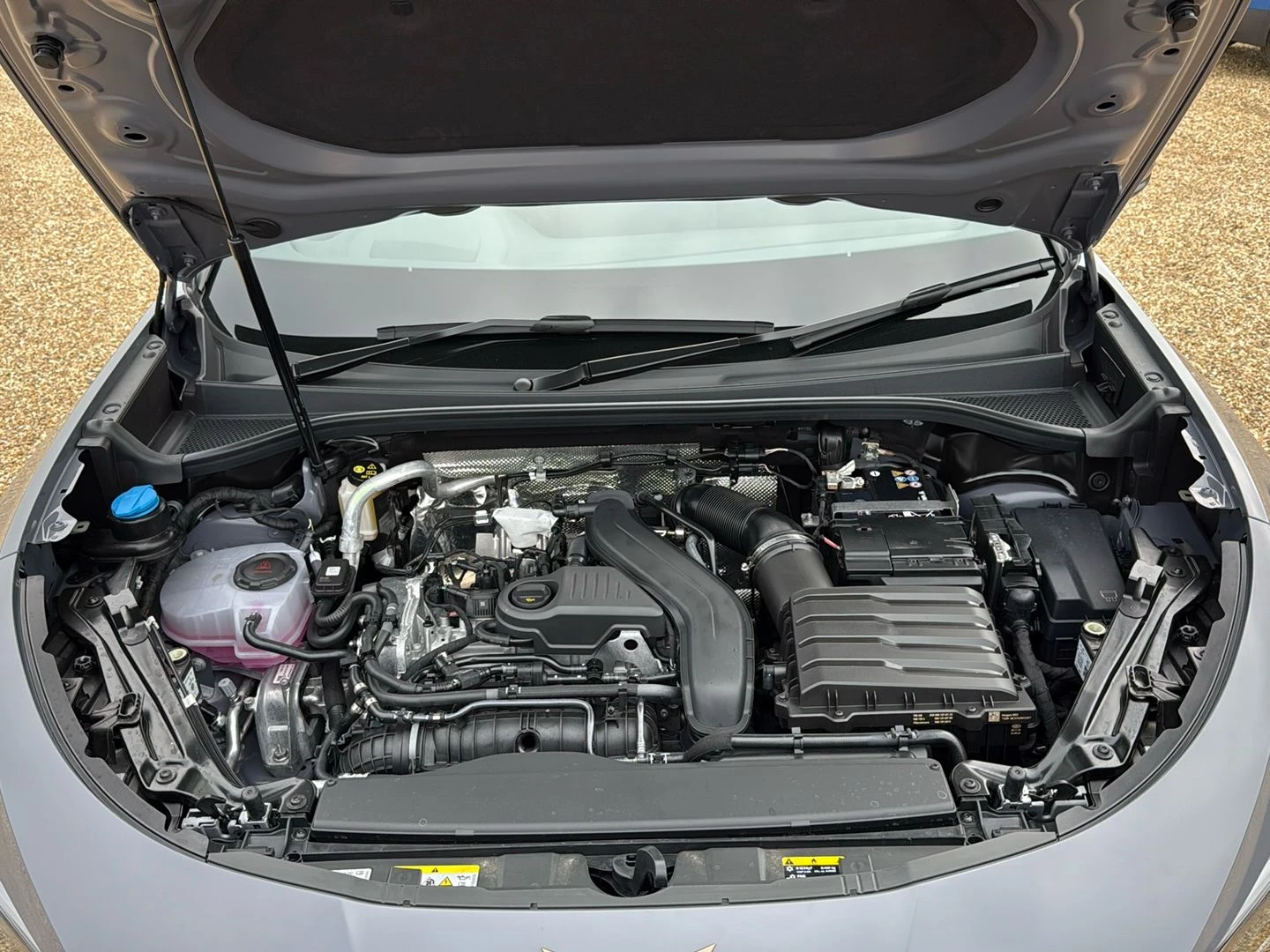 CUPRA Terramar 1.5 eTSI 150 V2 5dr DSG