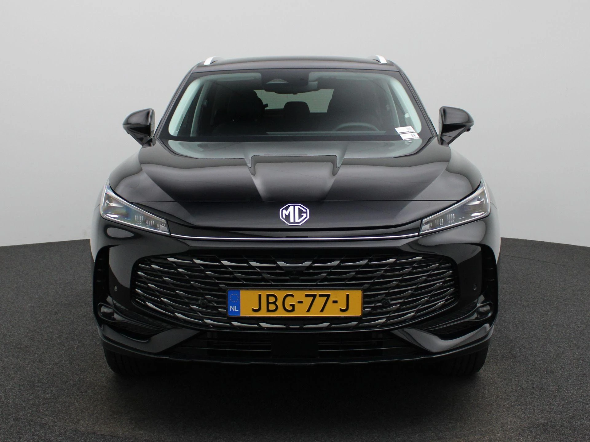 MG-HS-image-2