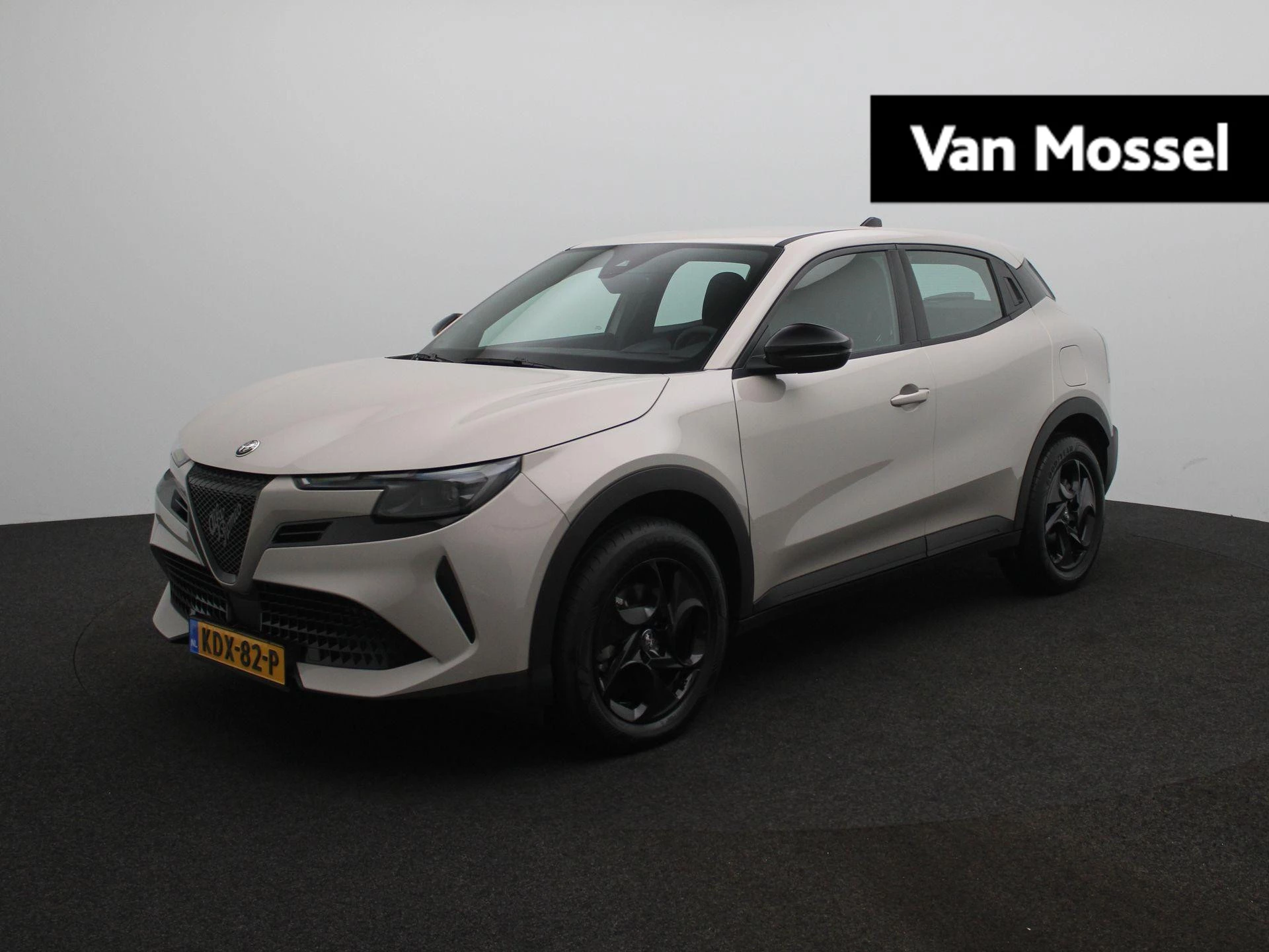 Alfa Romeo-Junior-image-0