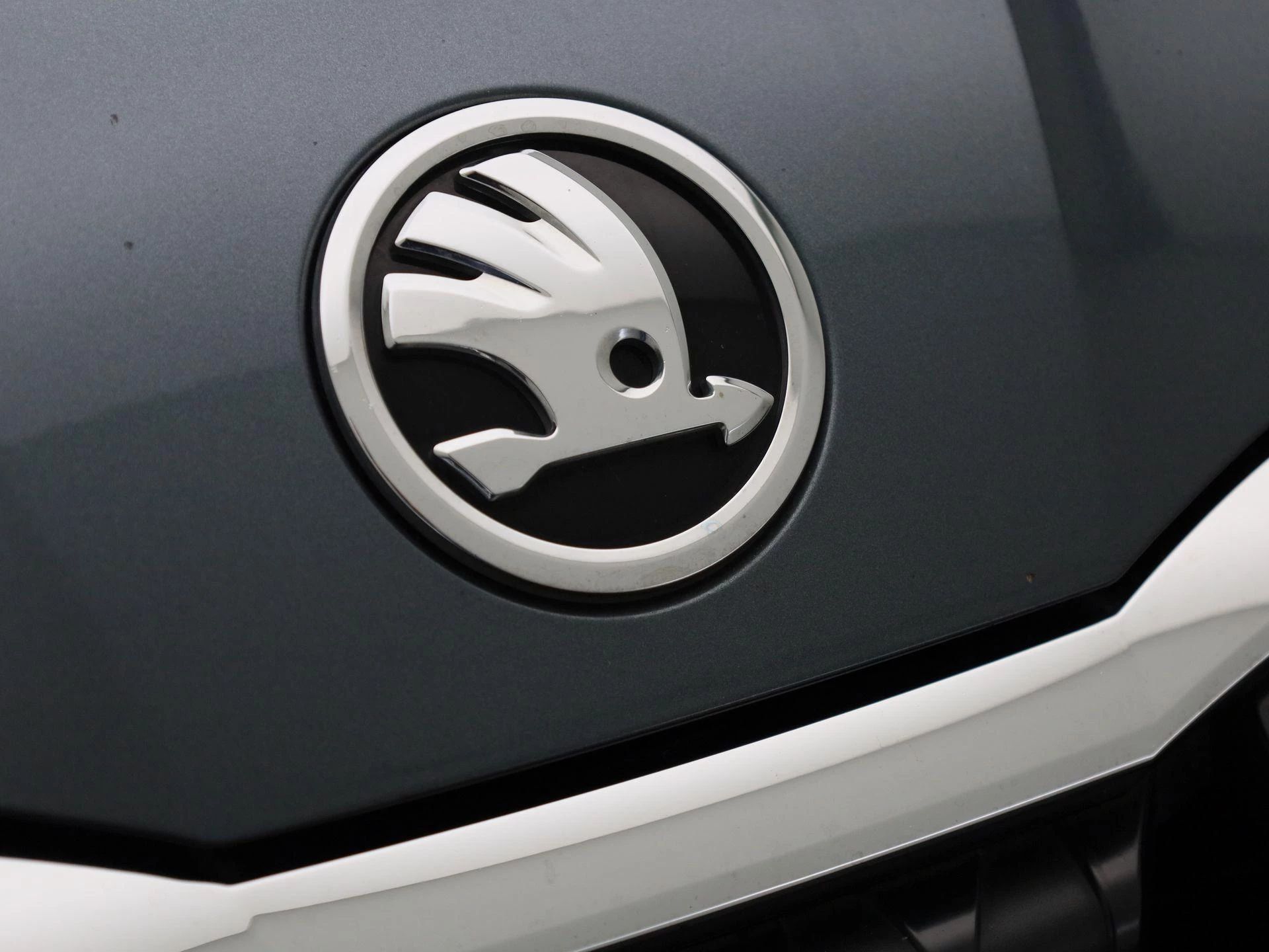 Škoda-Scala-image-32