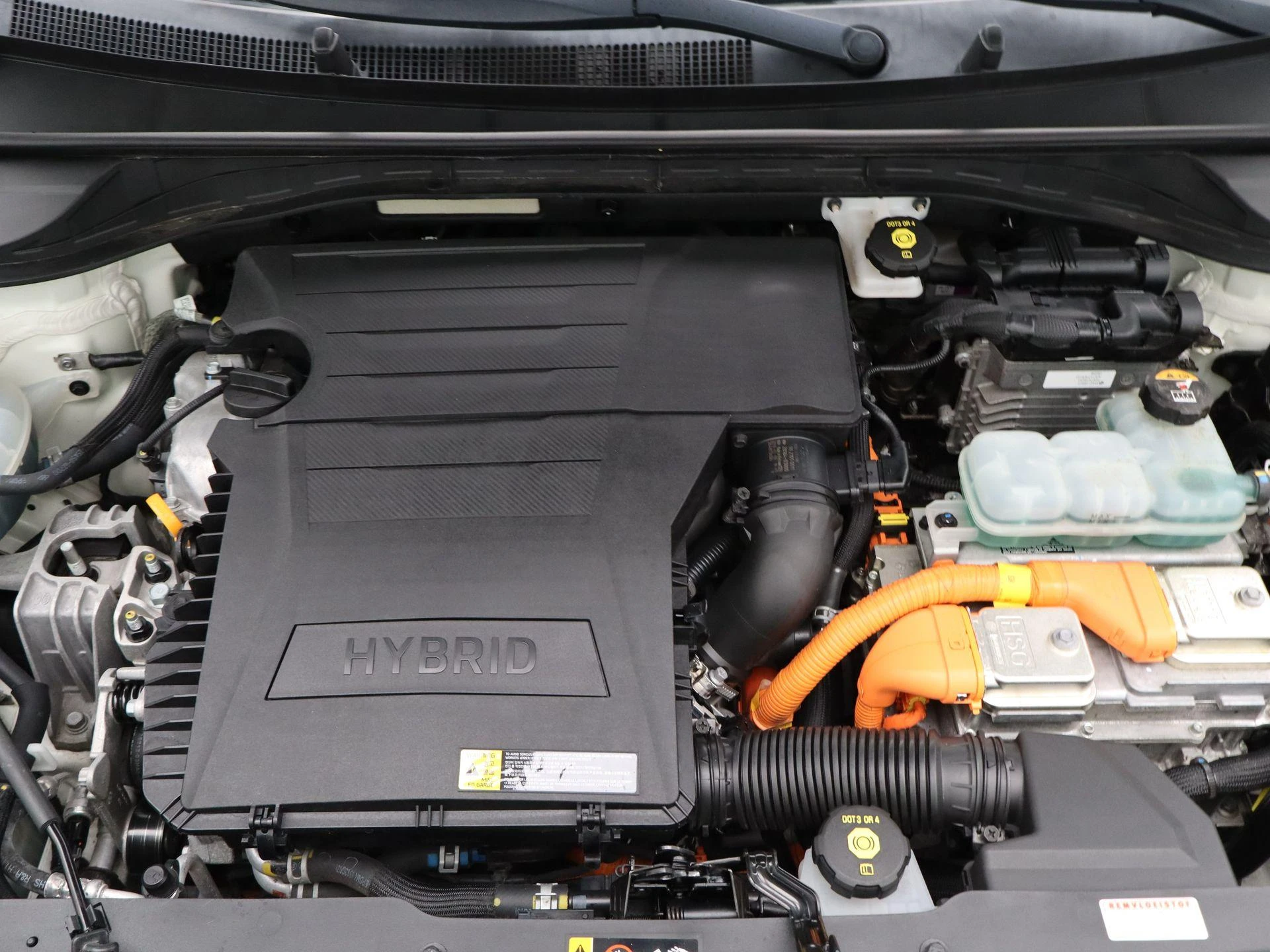 Kia-Niro-image-36