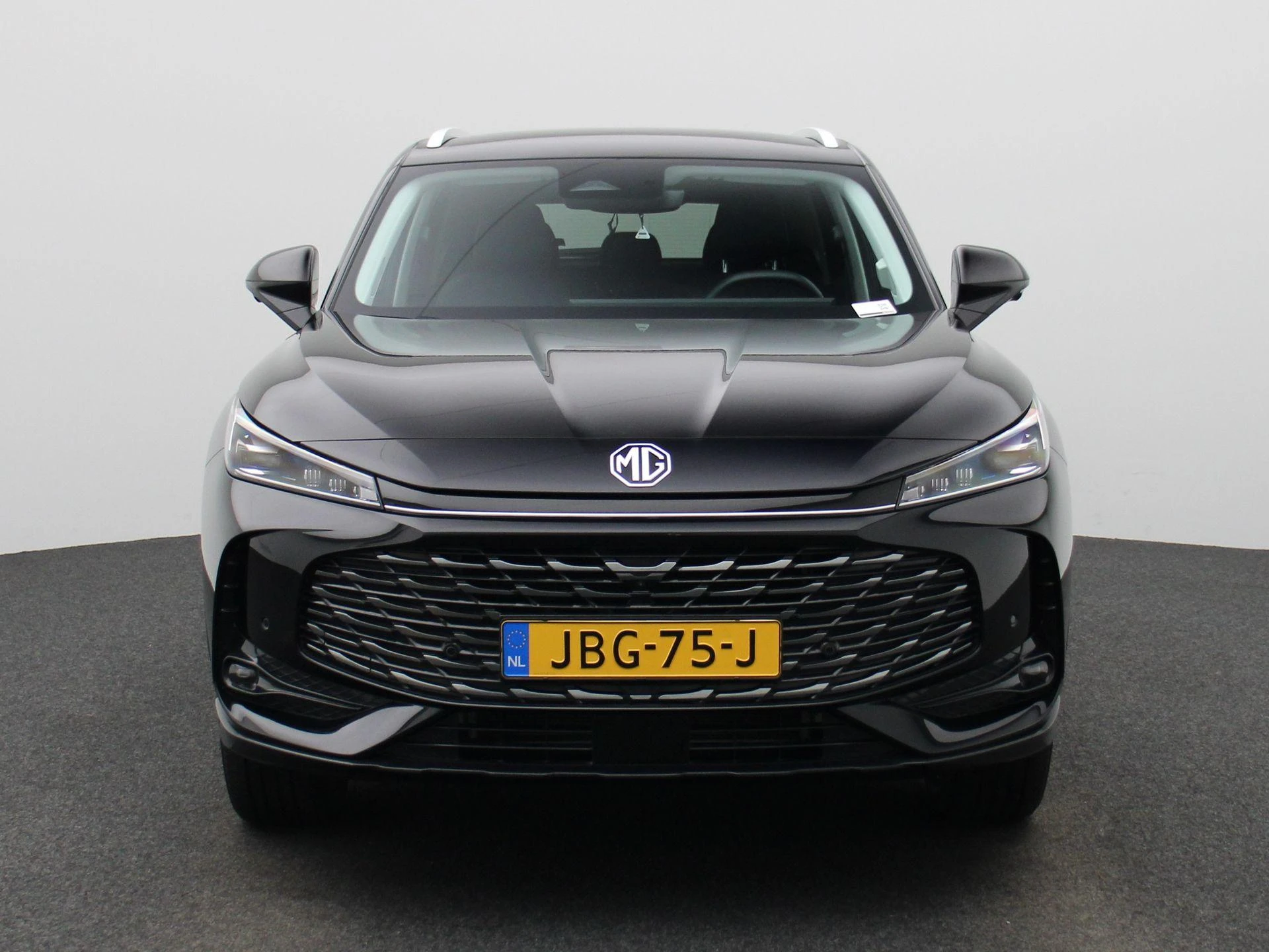 MG-HS-image-2