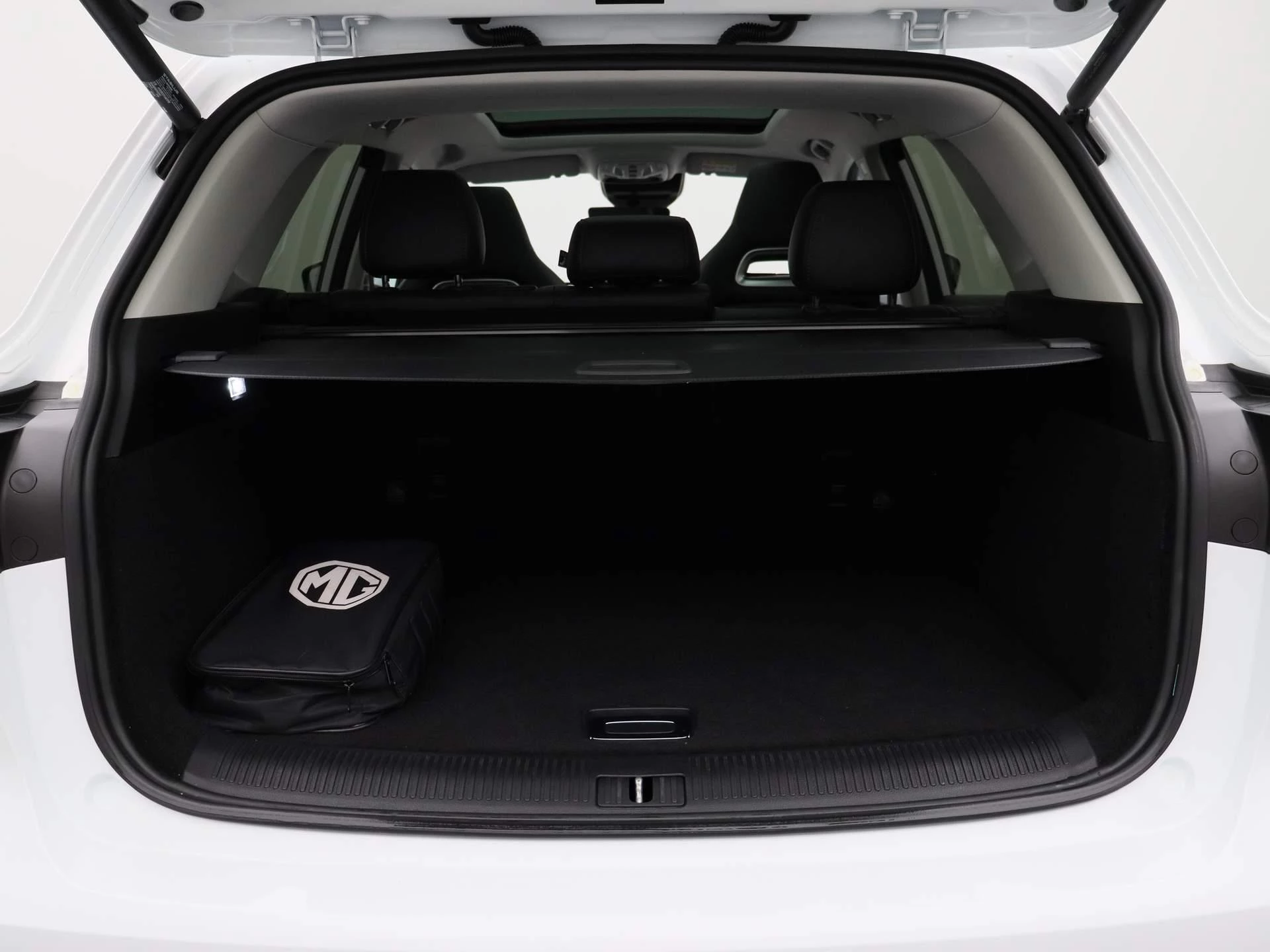 MG-EHS-image-12