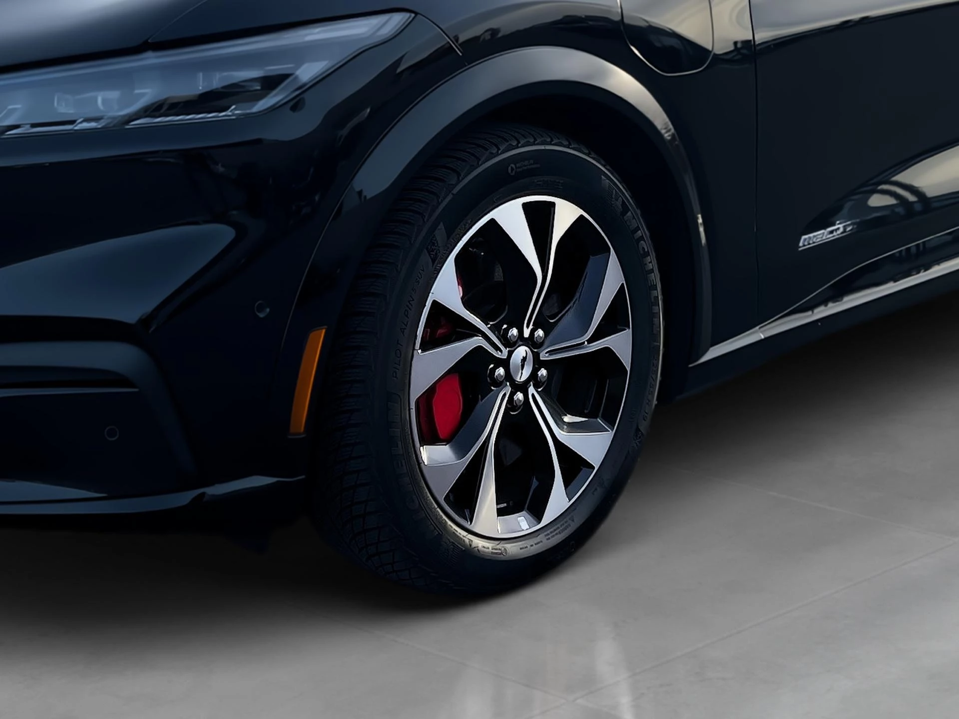 Ford-Mustang Mach-E-image-19