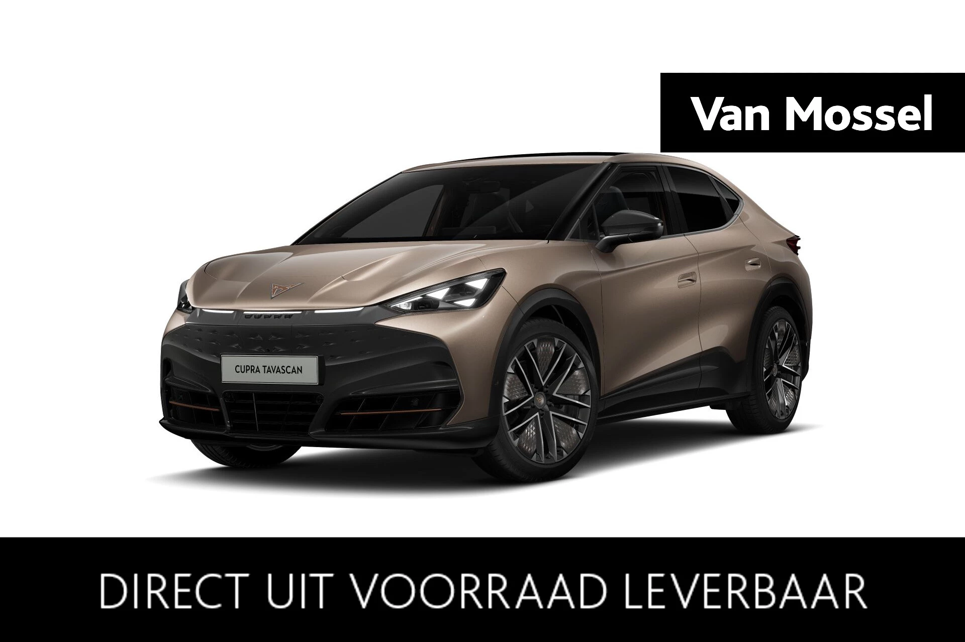 CUPRA-Tavascan-image-0