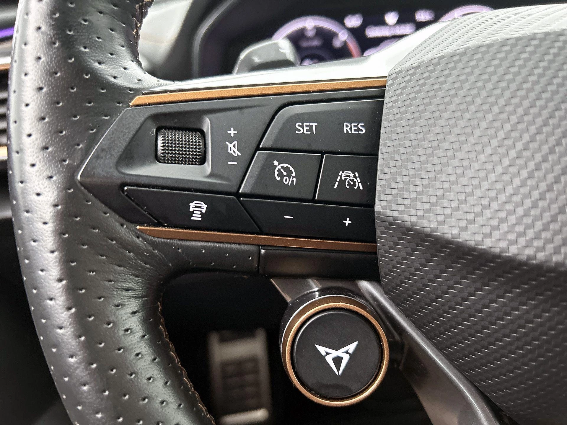 CUPRA Formentor 1.4 e-Hybrid VZ Performance