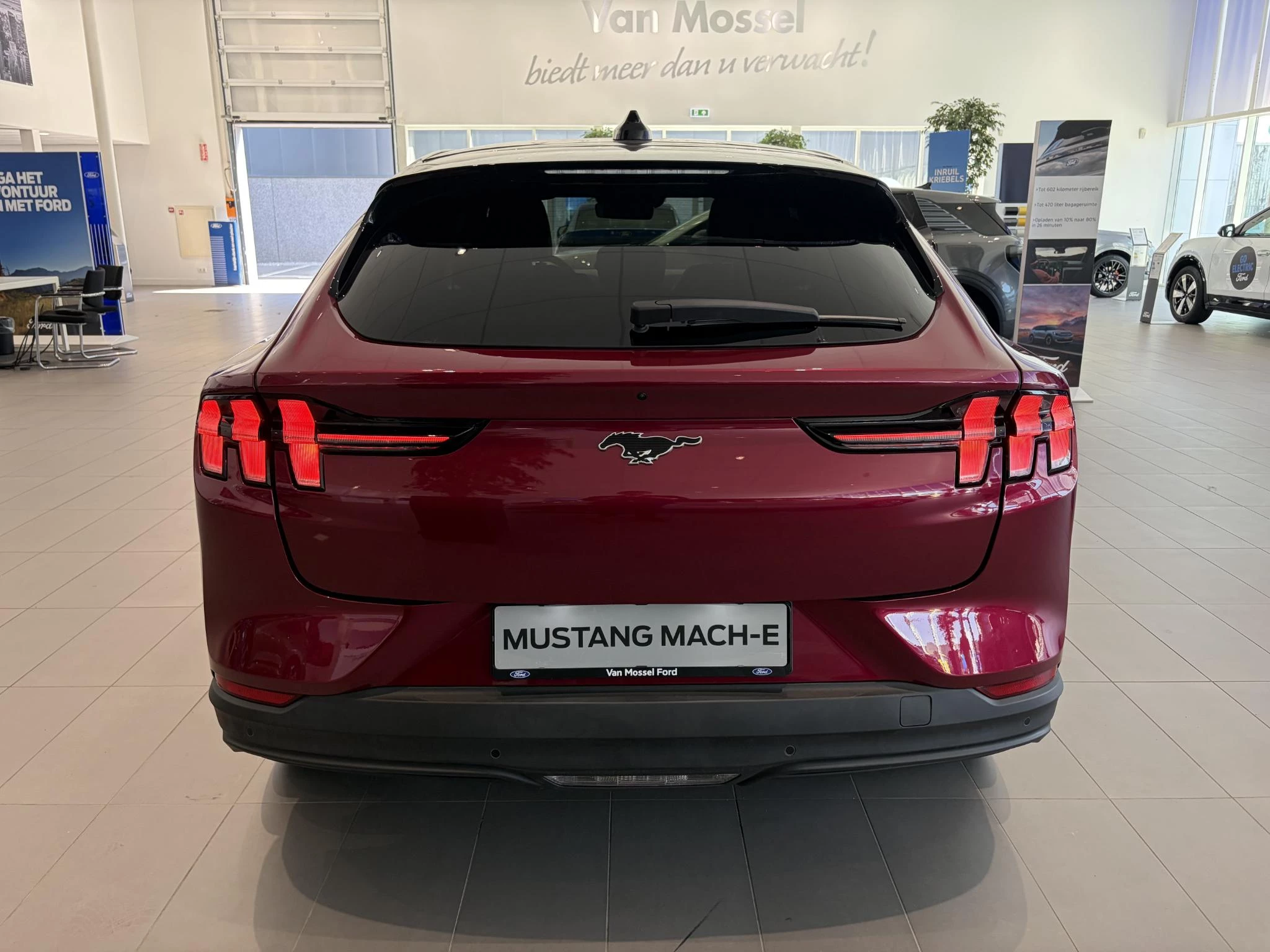 Ford-Mustang Mach-E-image-3