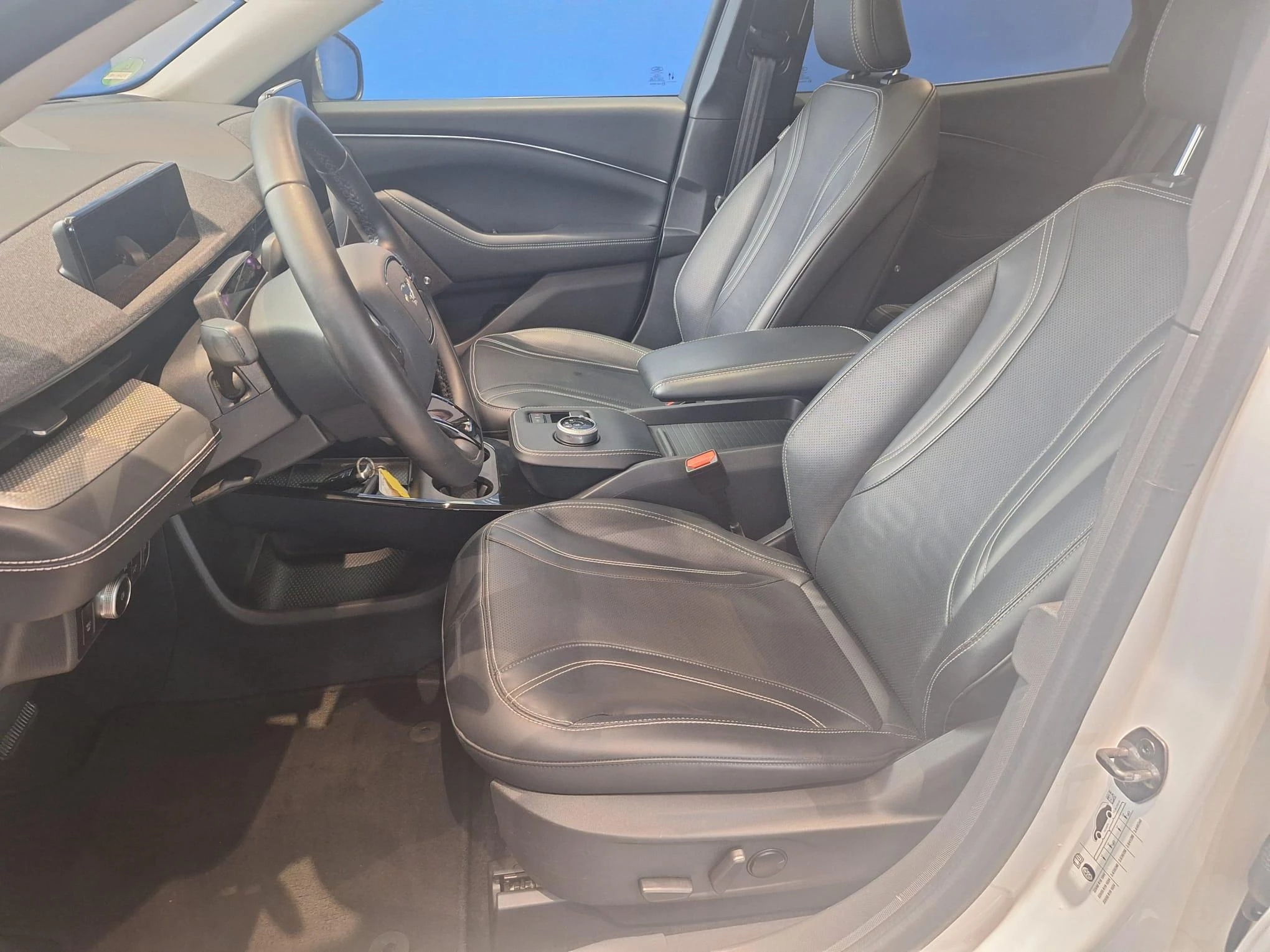 Ford-Mustang Mach-E-image-16