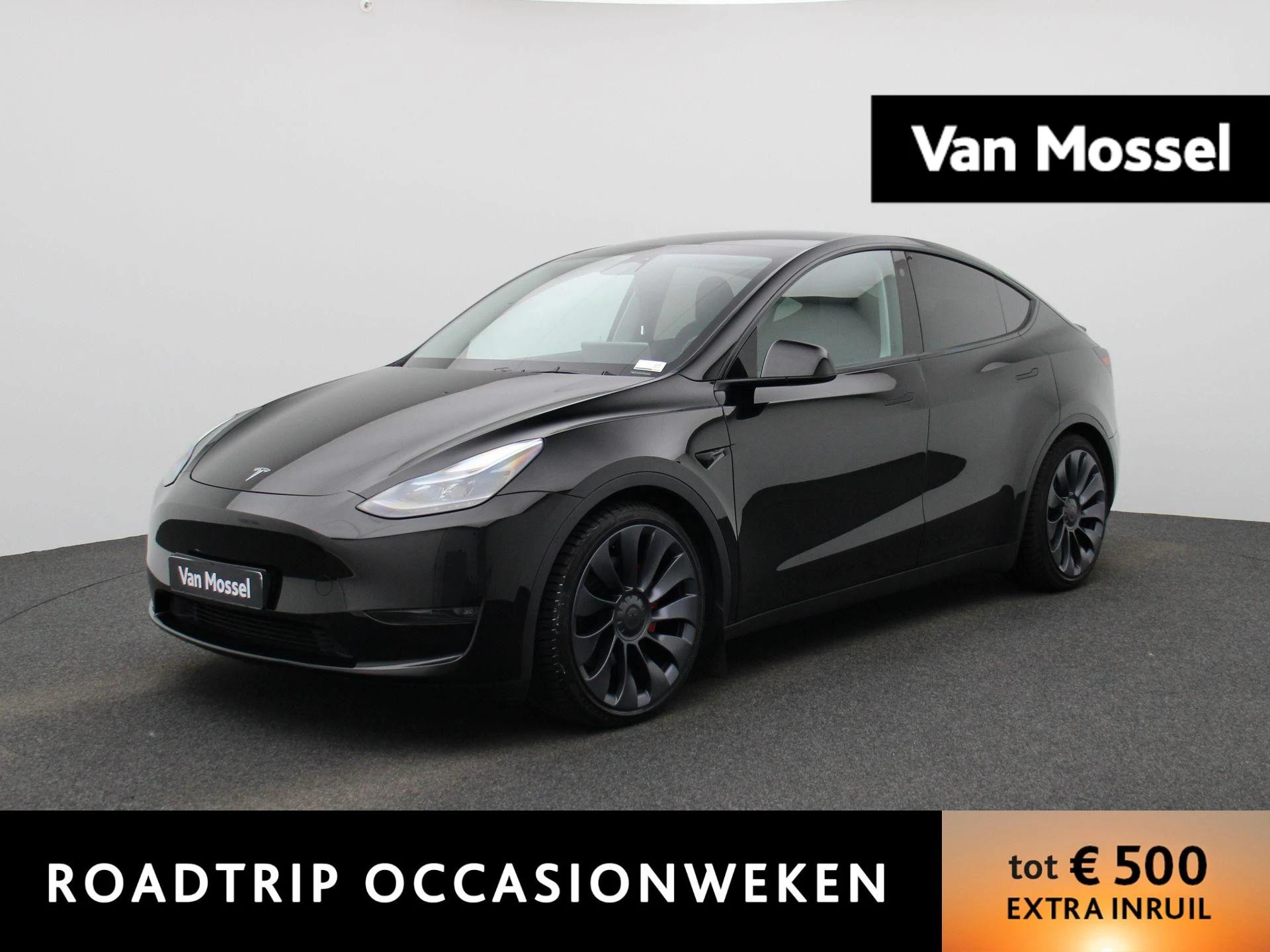 Tesla-Model Y-image-0