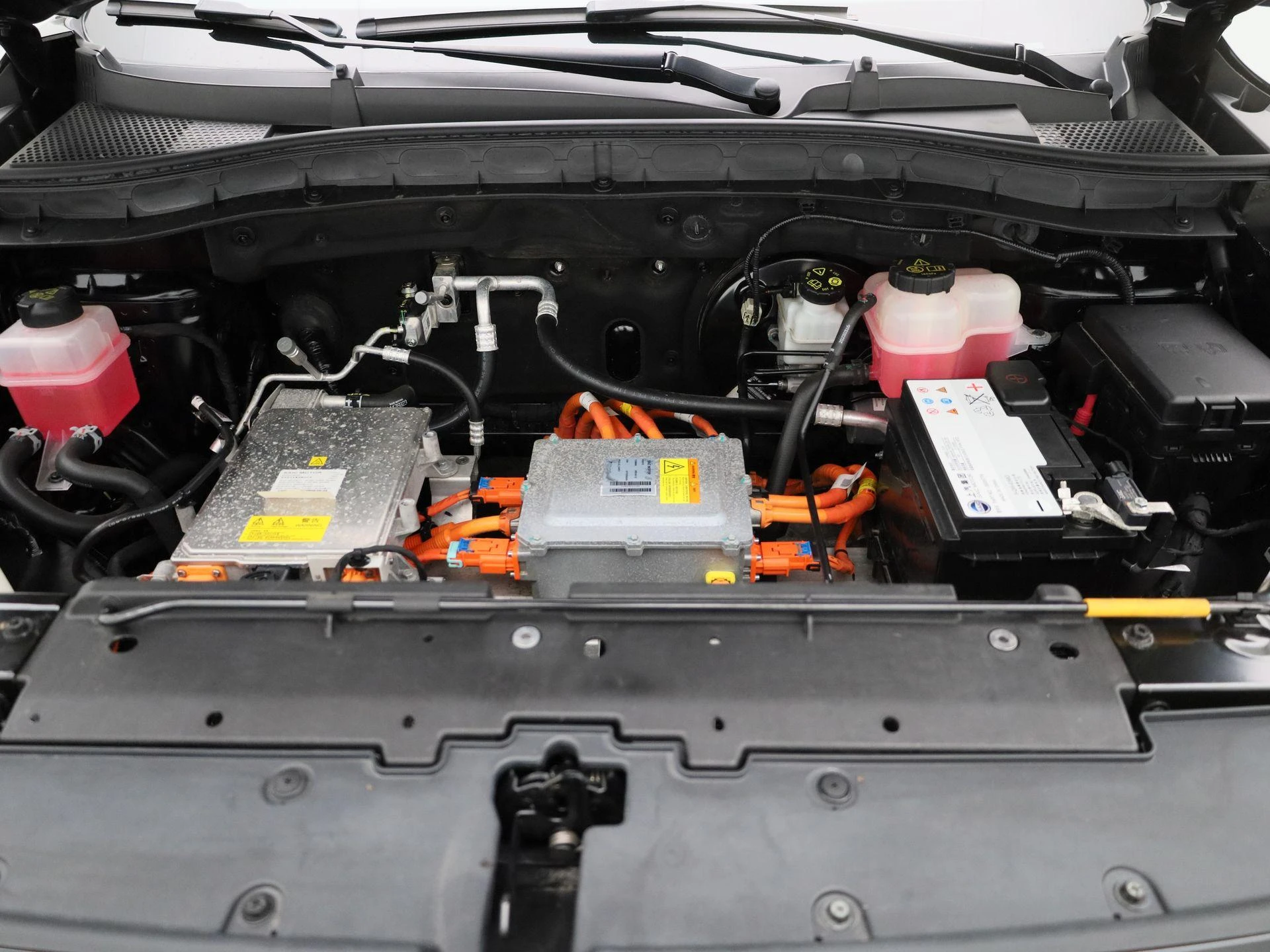 MG-ZS EV-image-31