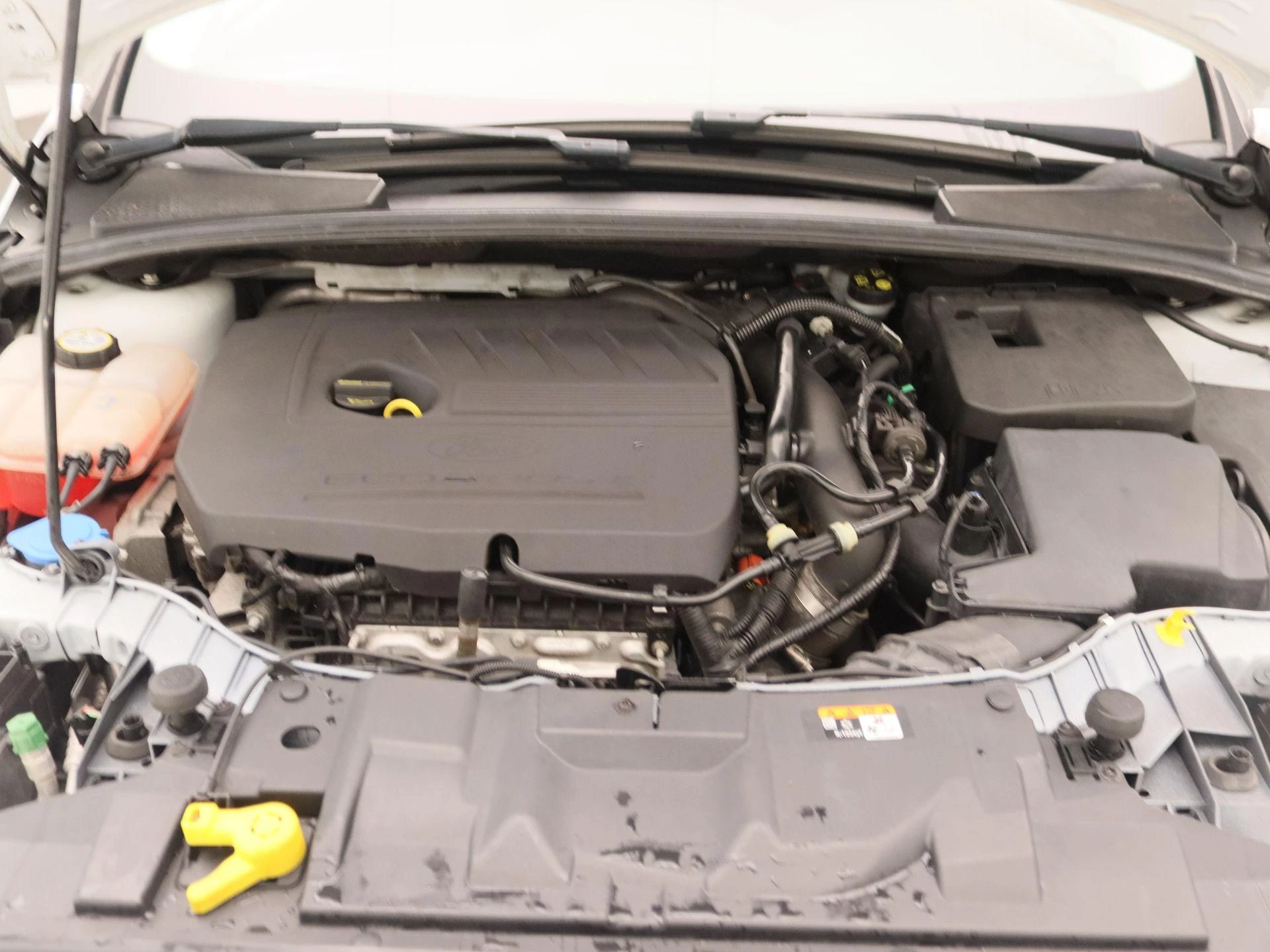 Ford-Focus-image-25