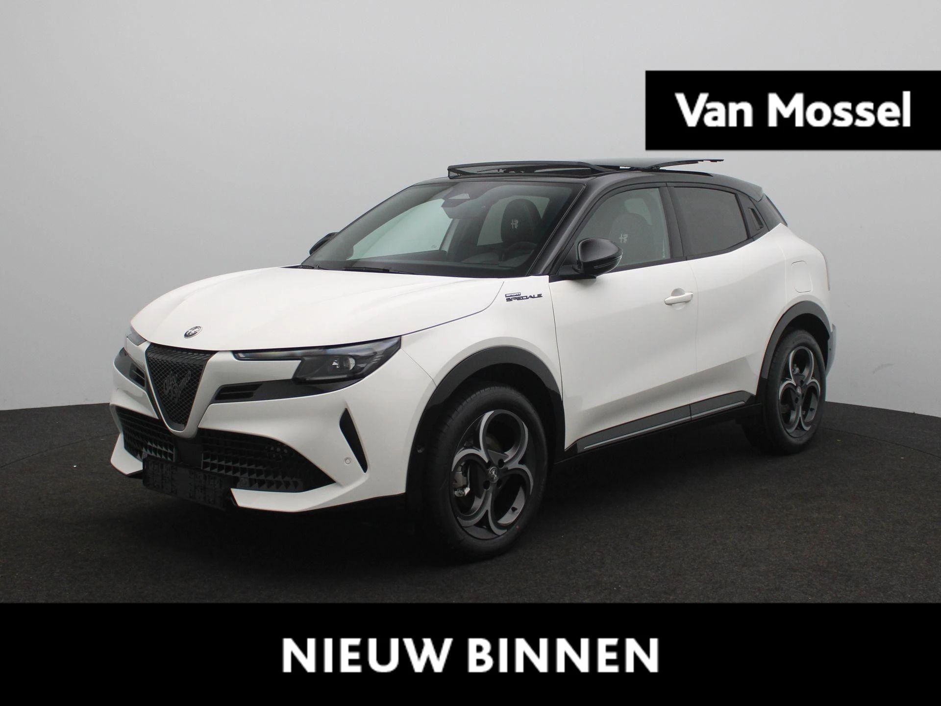 Alfa Romeo-Junior-image-0