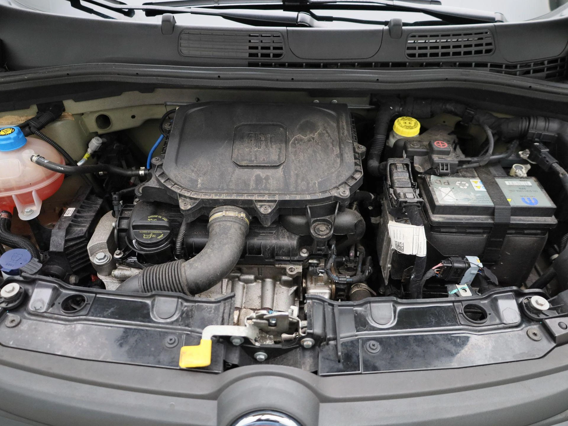 Fiat-Panda-image-29