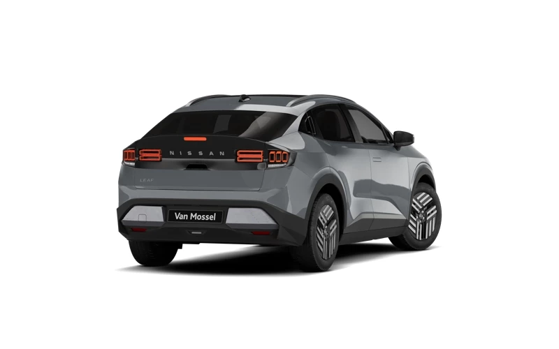 Nissan Leaf 52 kWh 177 1AT Advance + Two Tone