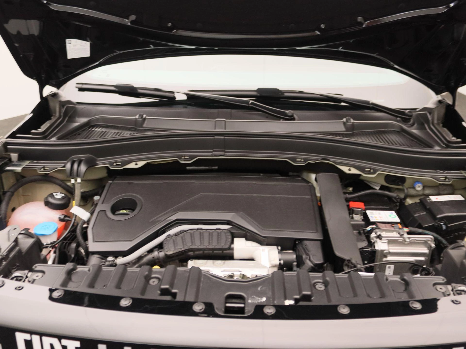 Fiat-Grande Panda-image-23