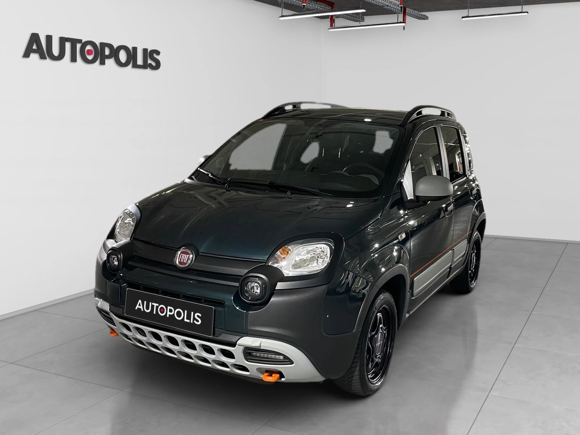 Fiat-Panda-image-16