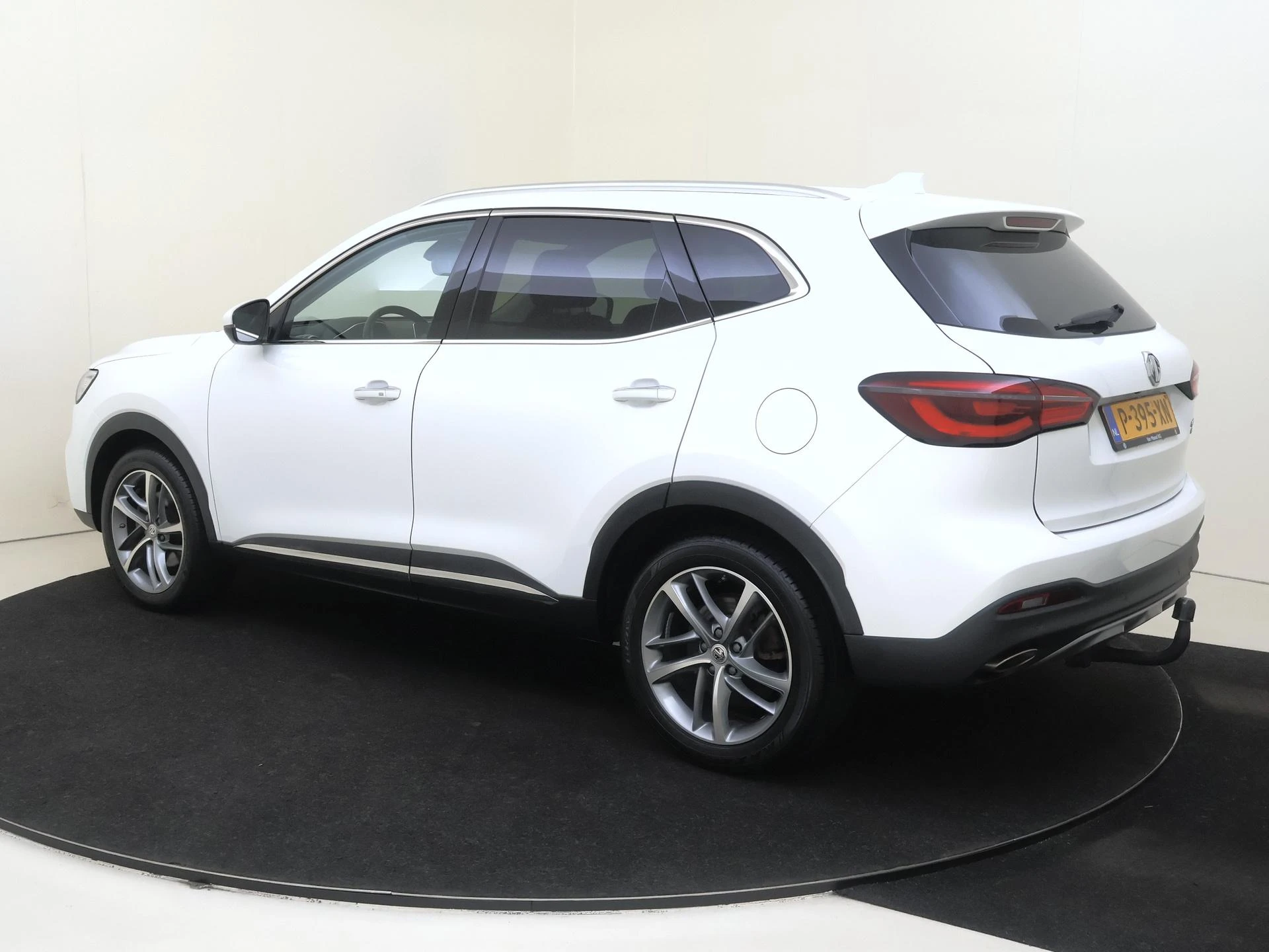 MG-EHS-image-2