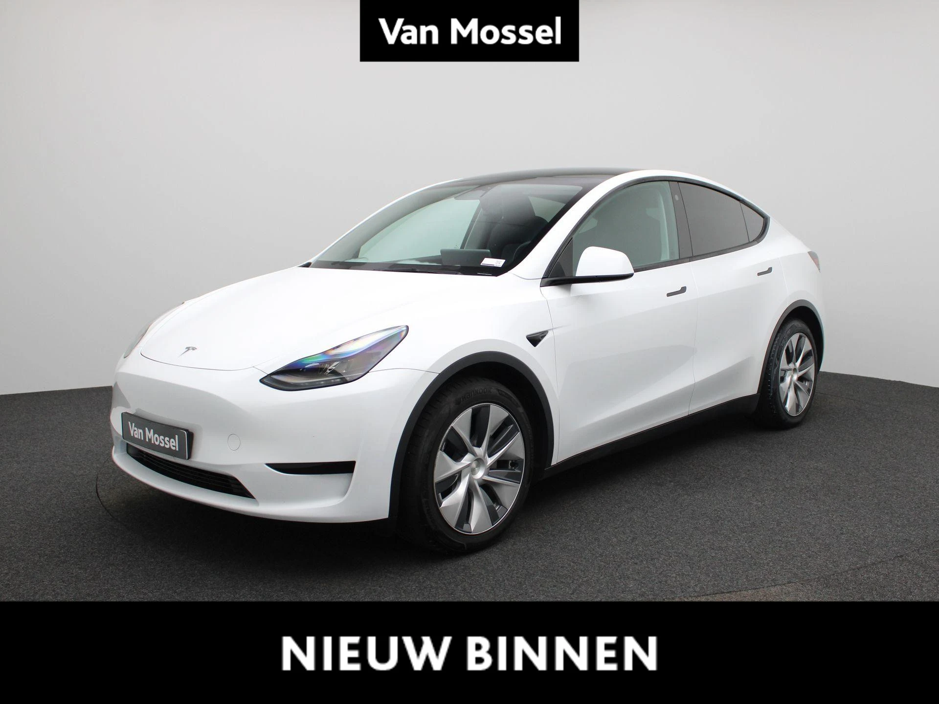 Tesla-Model Y-image-0