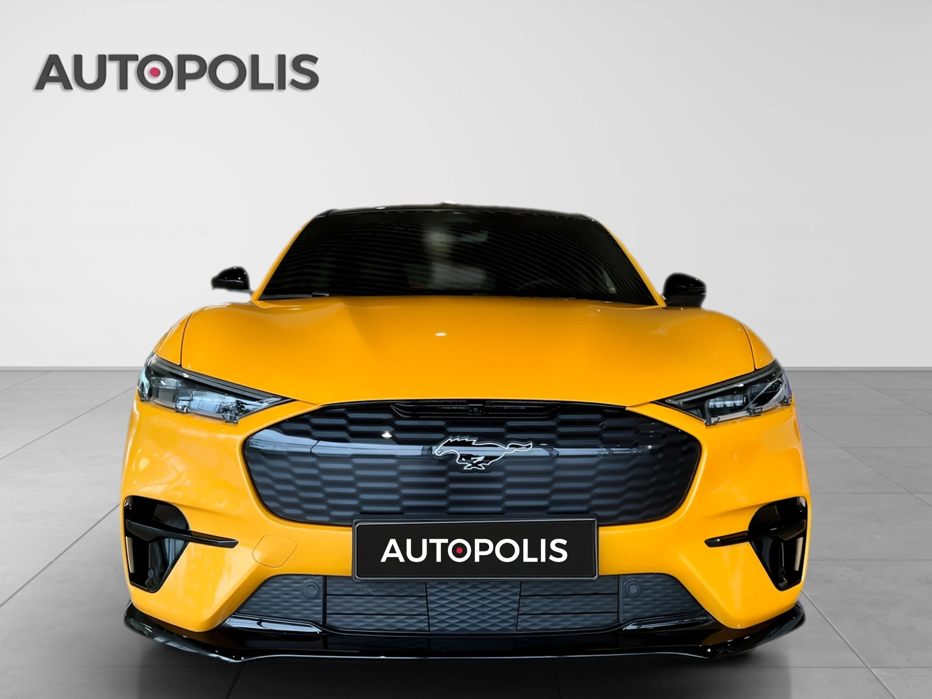 Ford-Mustang Mach-E-image-8