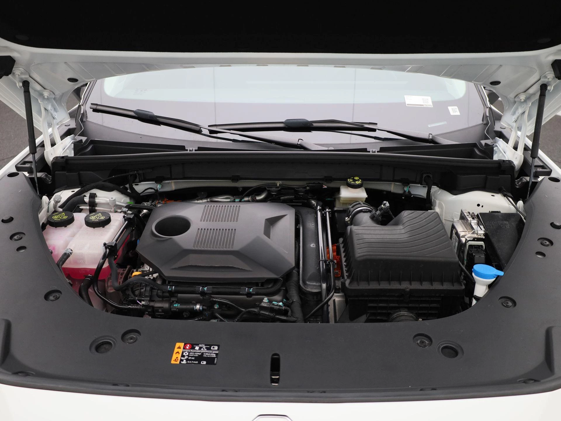 MG-HS-image-43
