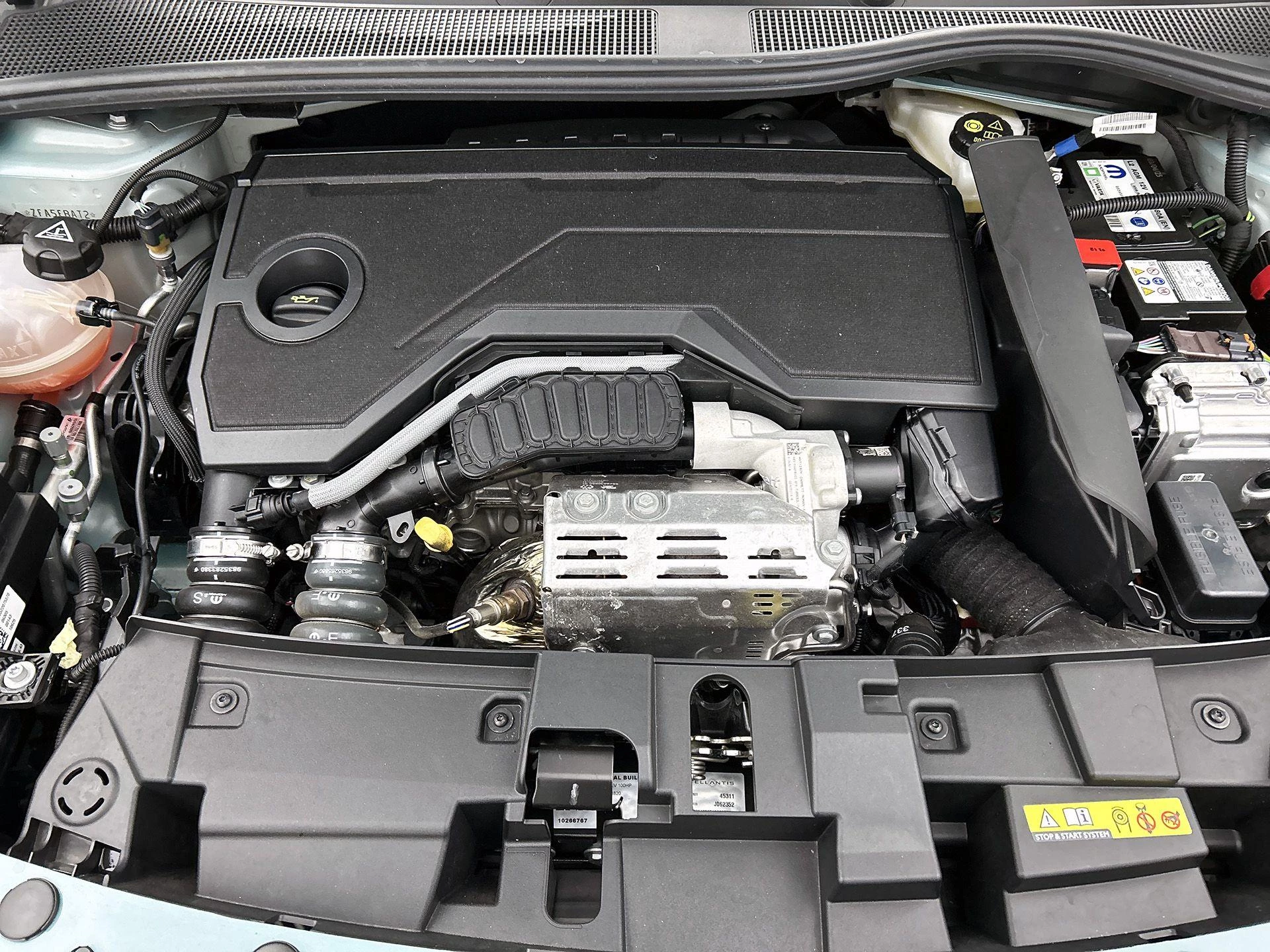 Fiat-600-image-28