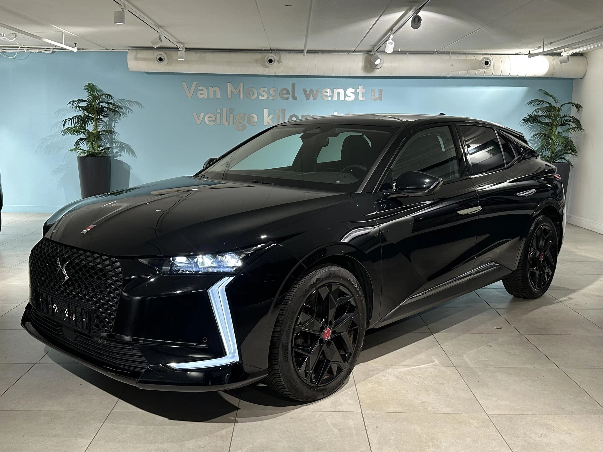 DS-DS 4-image-2