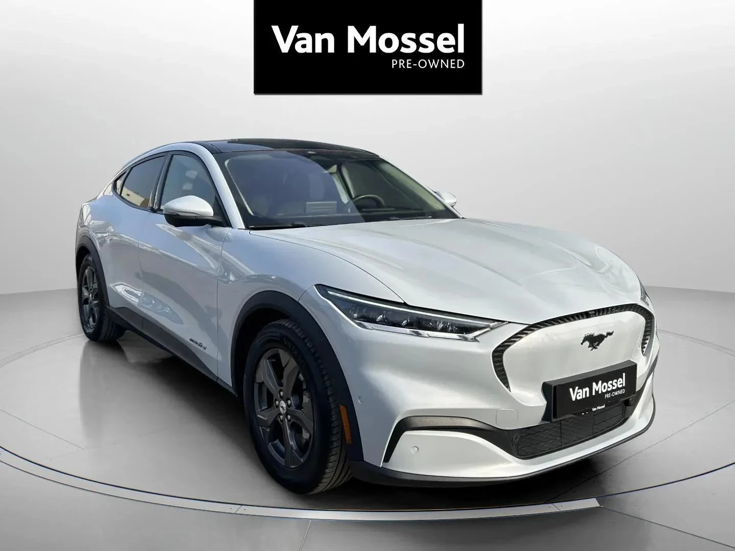 Ford-Mustang Mach-E-image-2