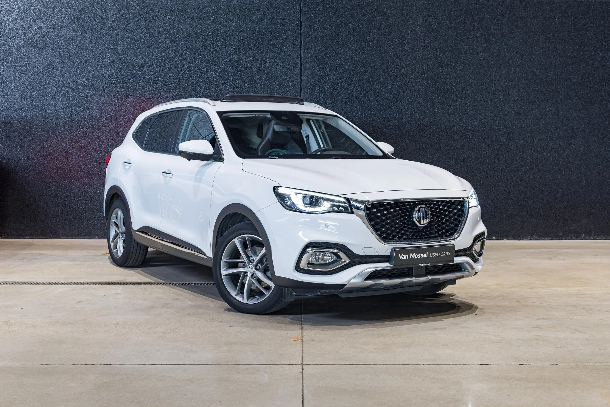 MG-HS-image-2