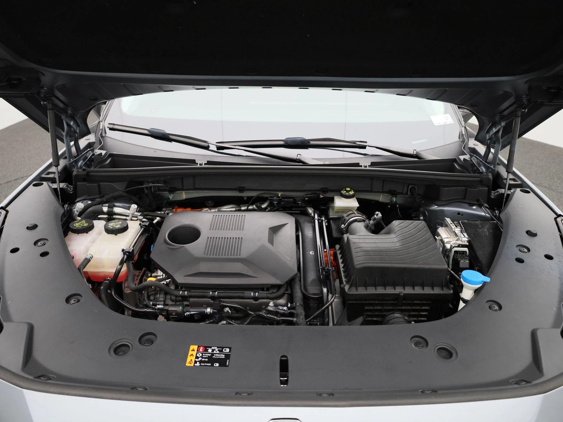 MG-HS-image-41