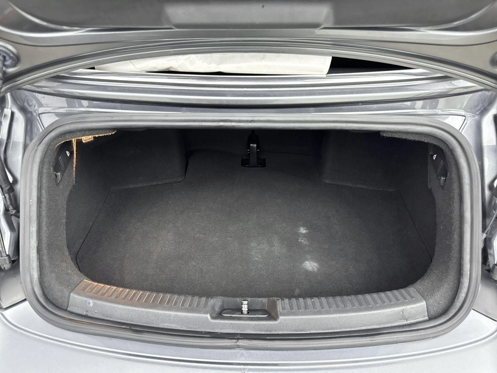 Volkswagen-Beetle-image-19