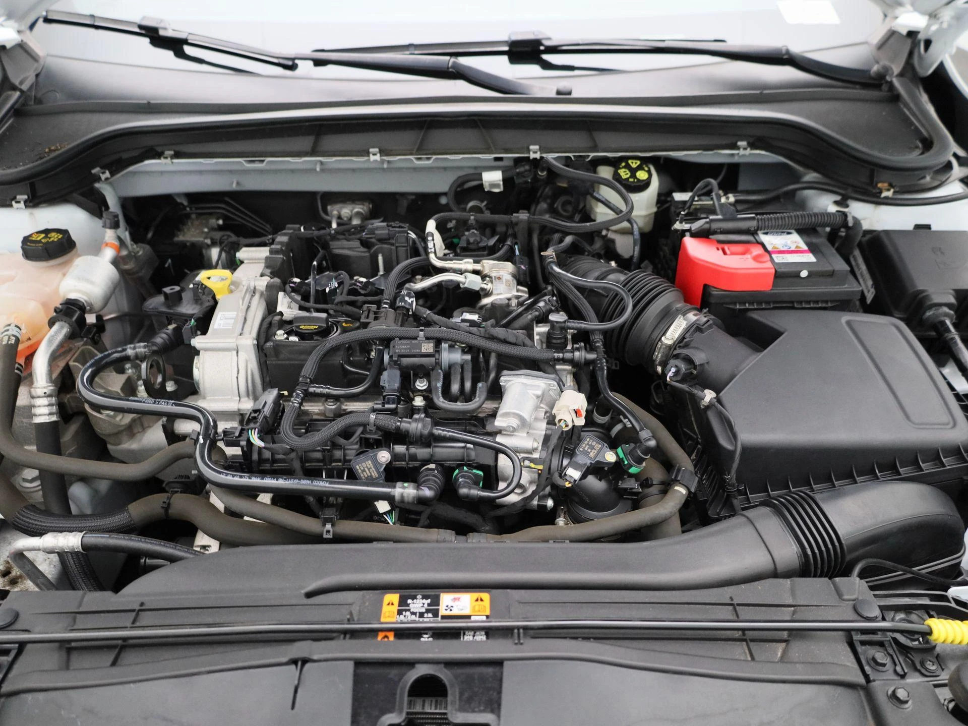 Ford-Focus-image-31