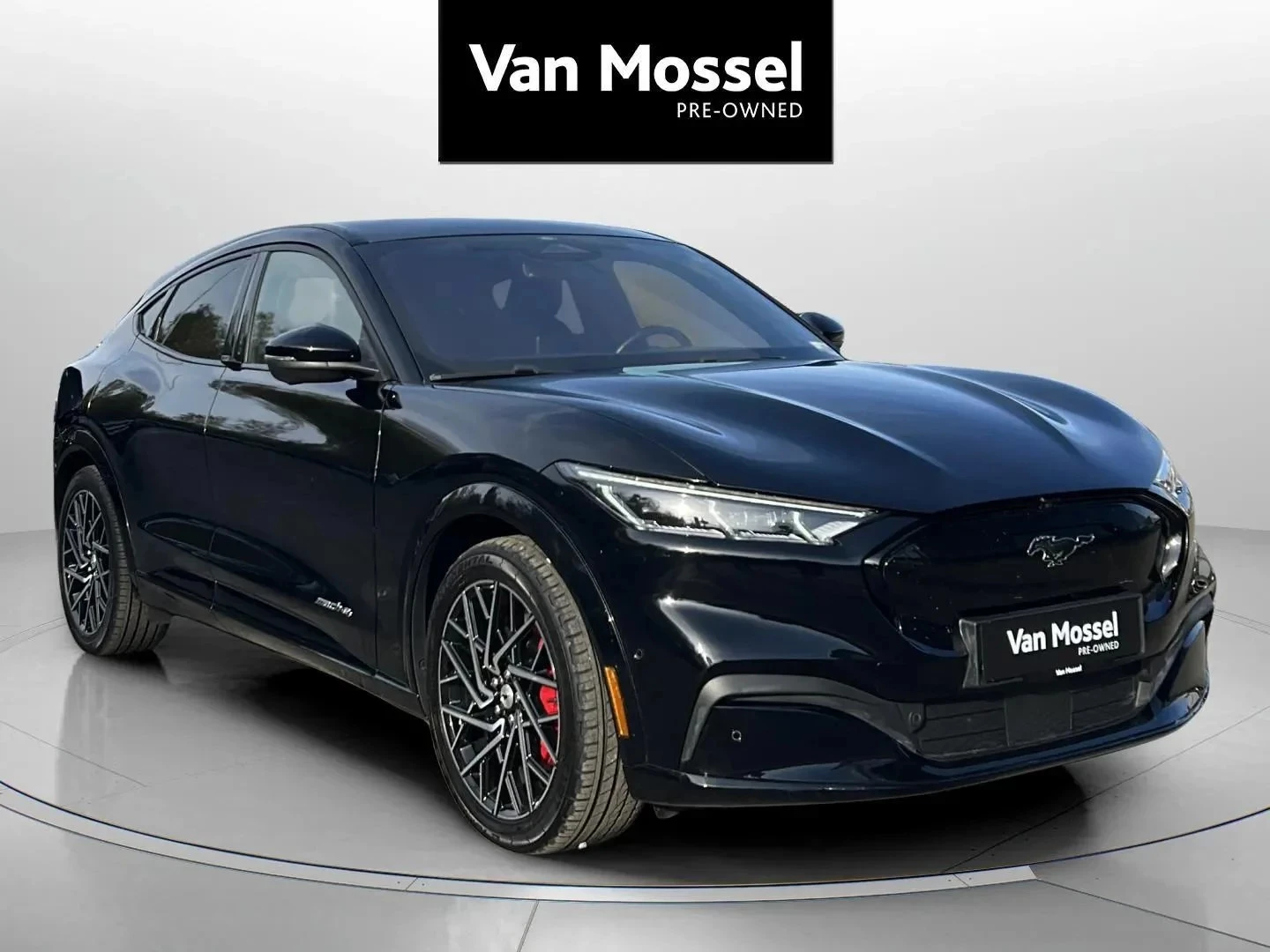 Ford-Mustang Mach-E-image-2