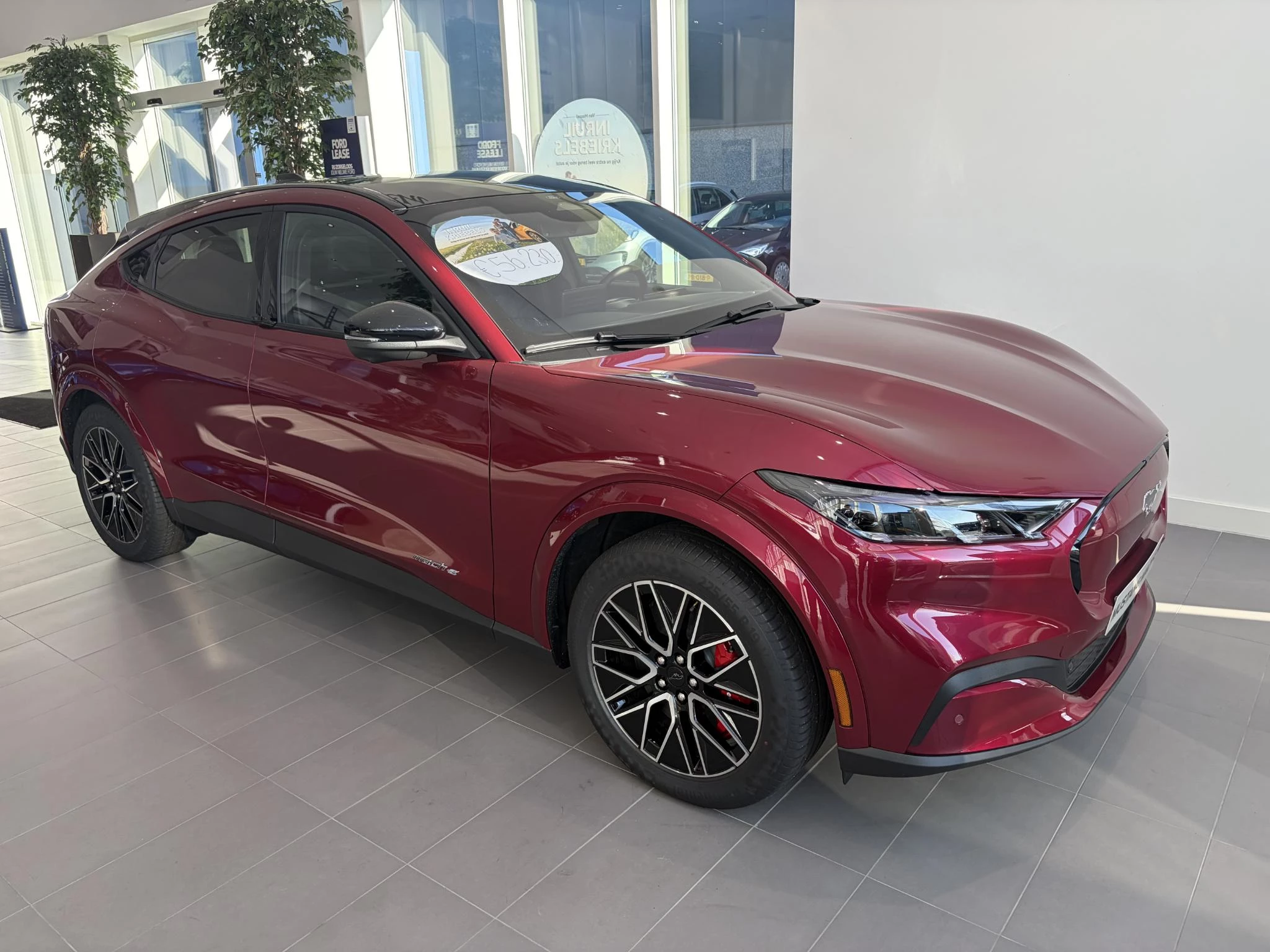 Ford-Mustang Mach-E-image-5