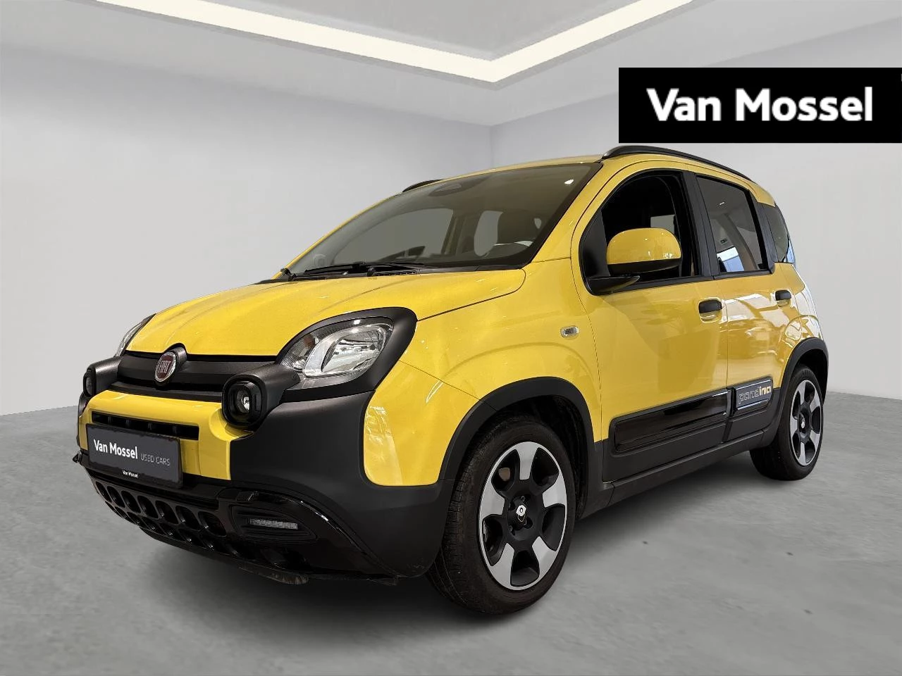 Fiat-Panda-image-0
