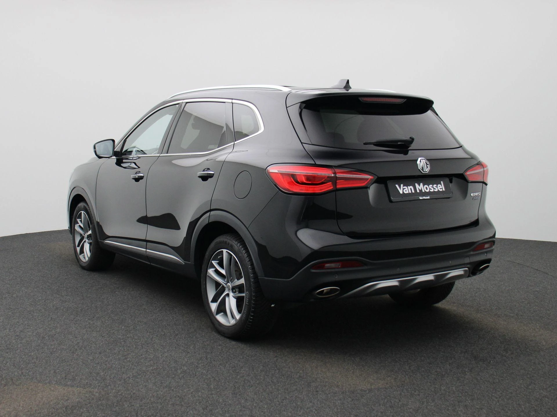 MG-EHS-image-1