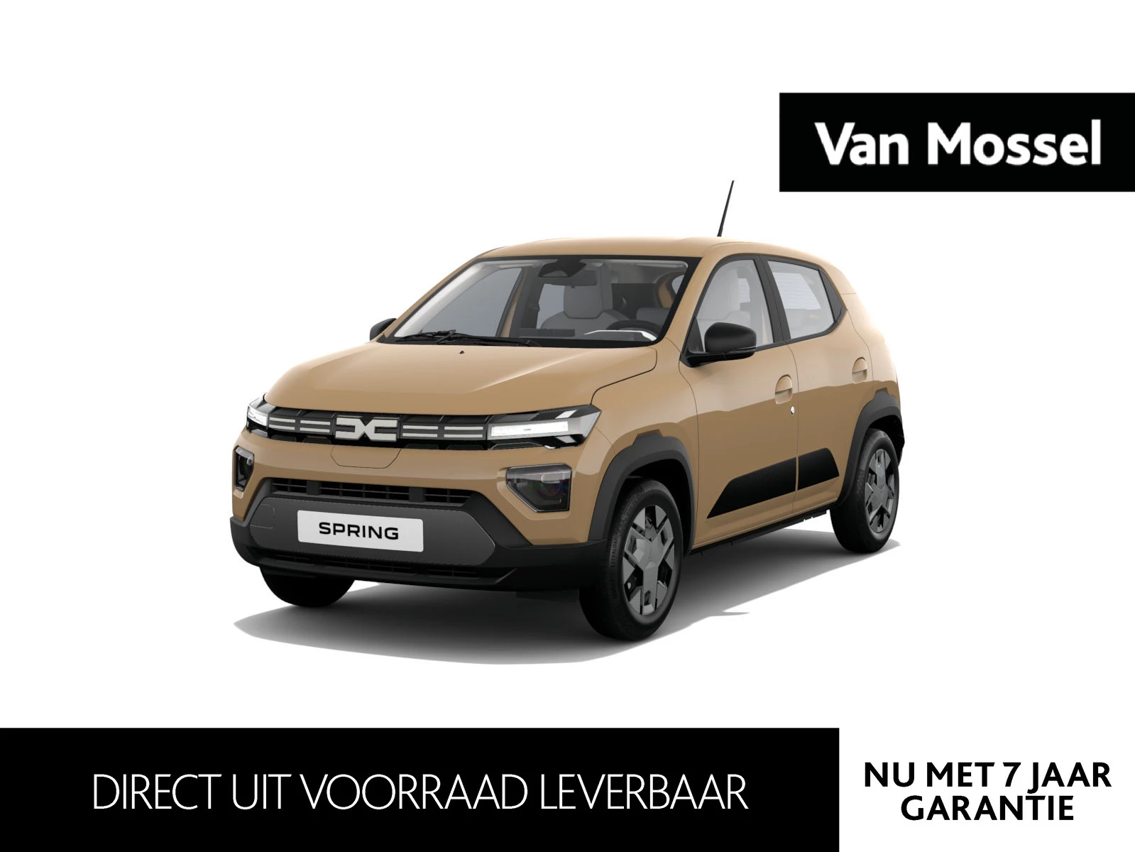 Dacia-Spring-image-0