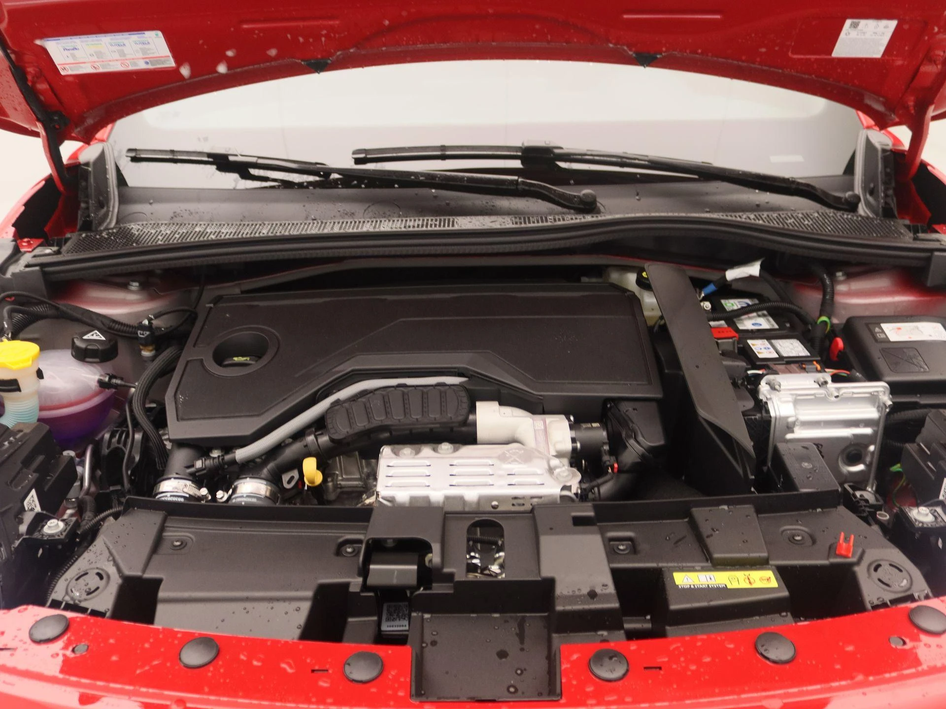Fiat-600-image-27