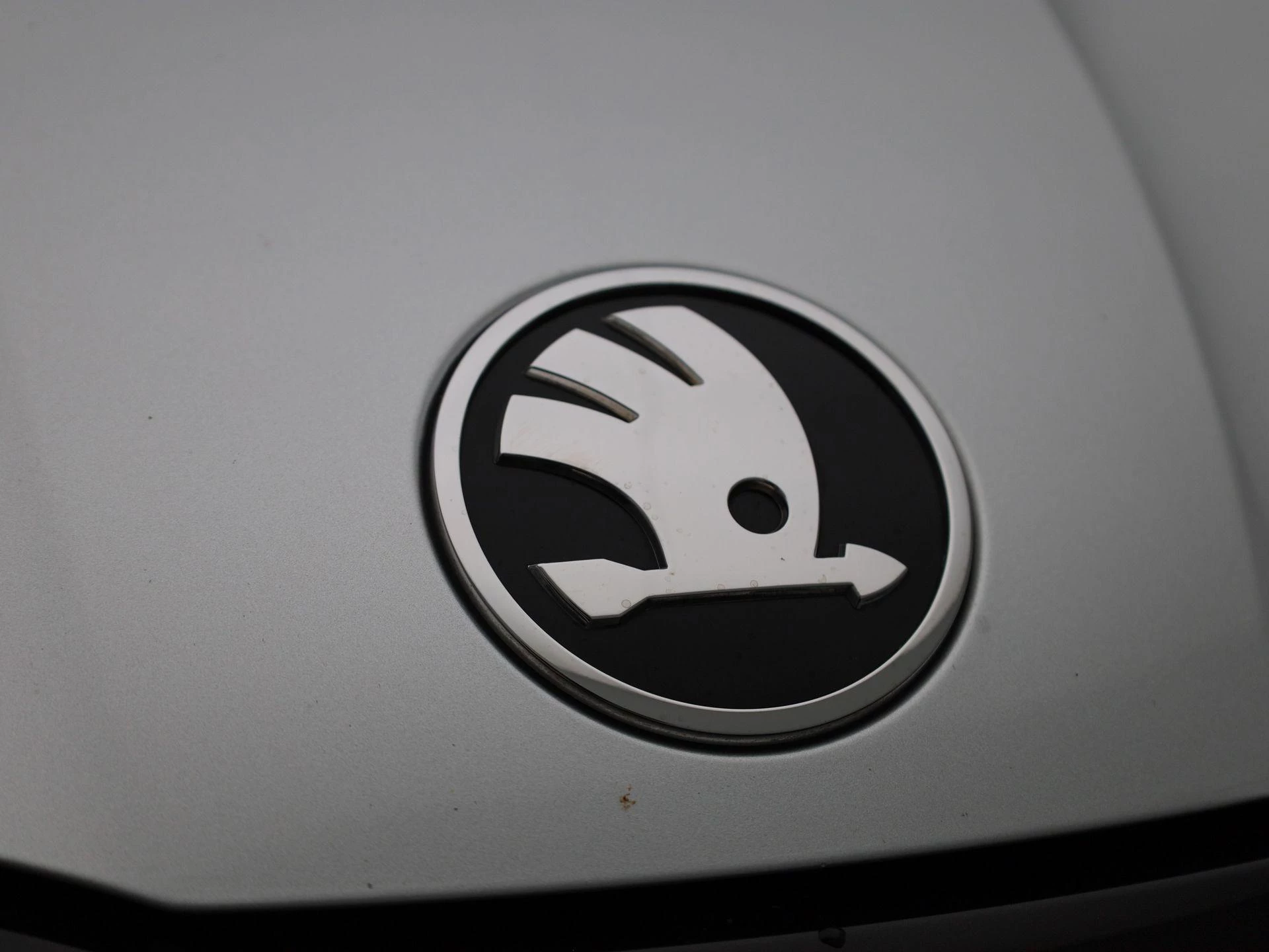 Škoda-Octavia-image-39