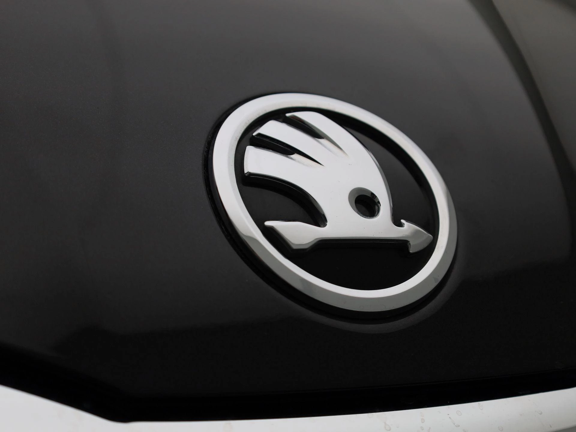 Škoda-Scala-image-38
