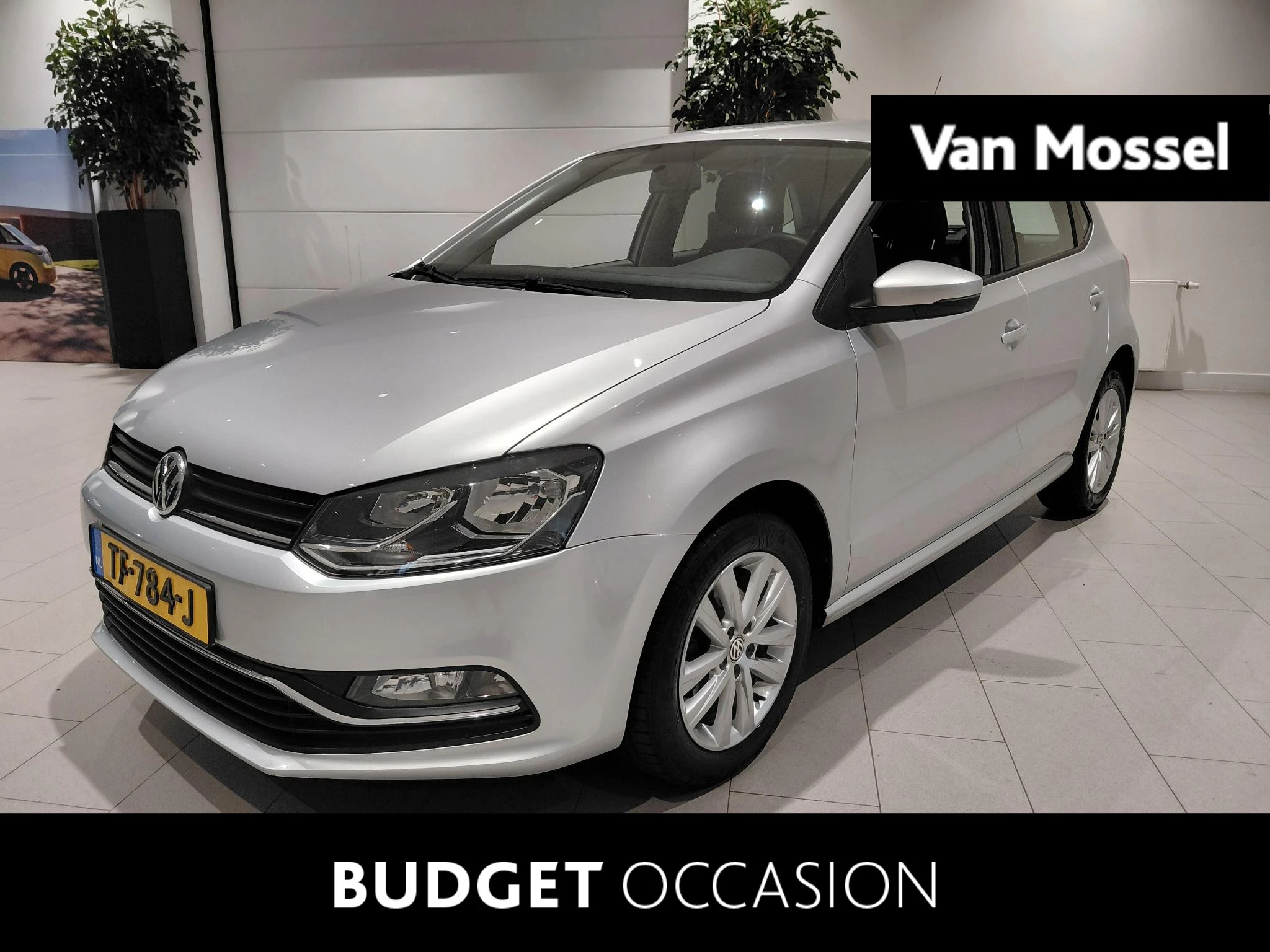Volkswagen-Polo-image-0