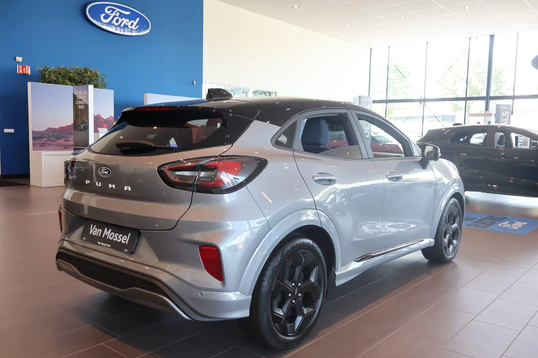 Ford-Puma Gen-E-image-4