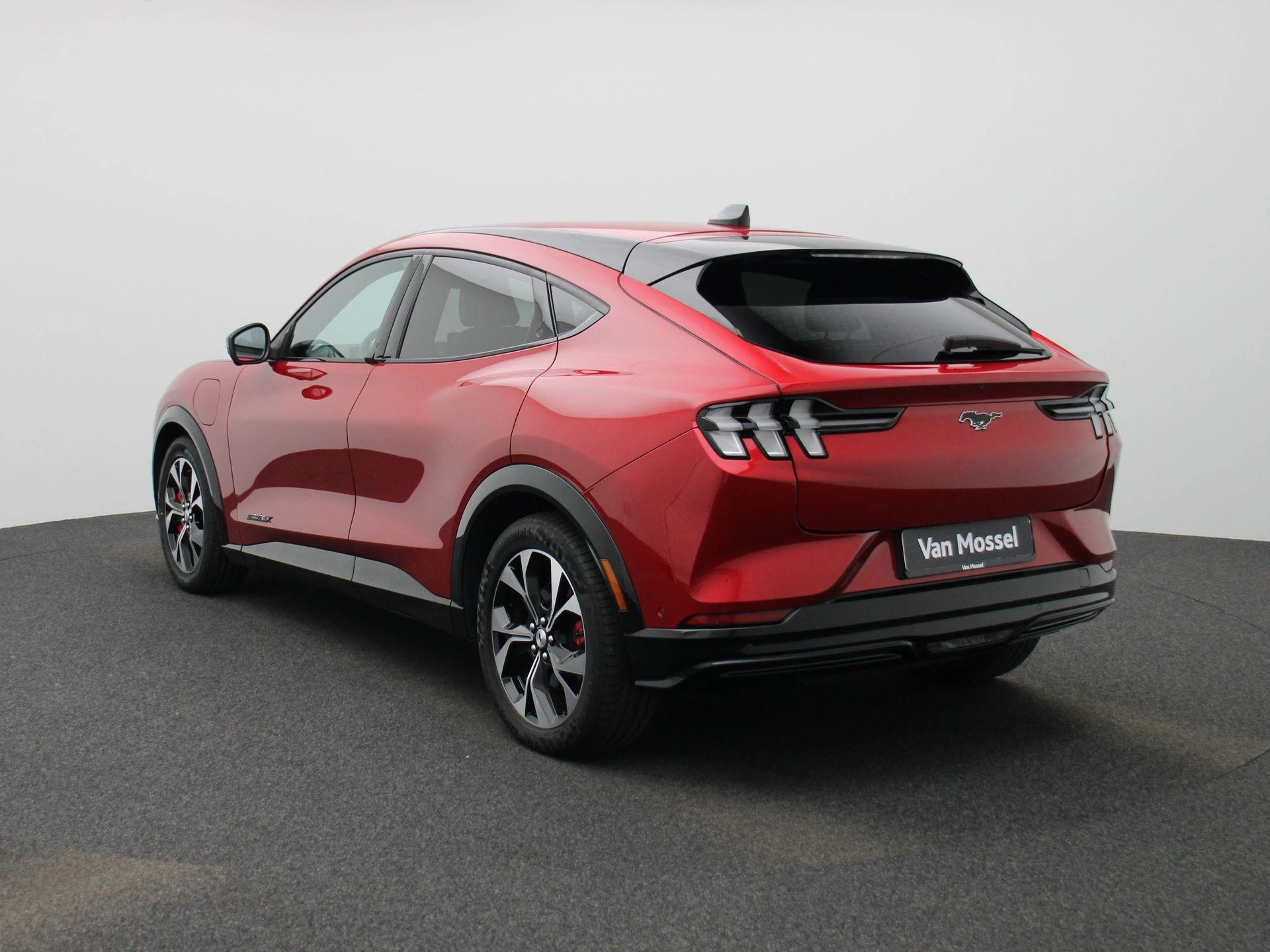 Ford-Mustang Mach-E-image-1