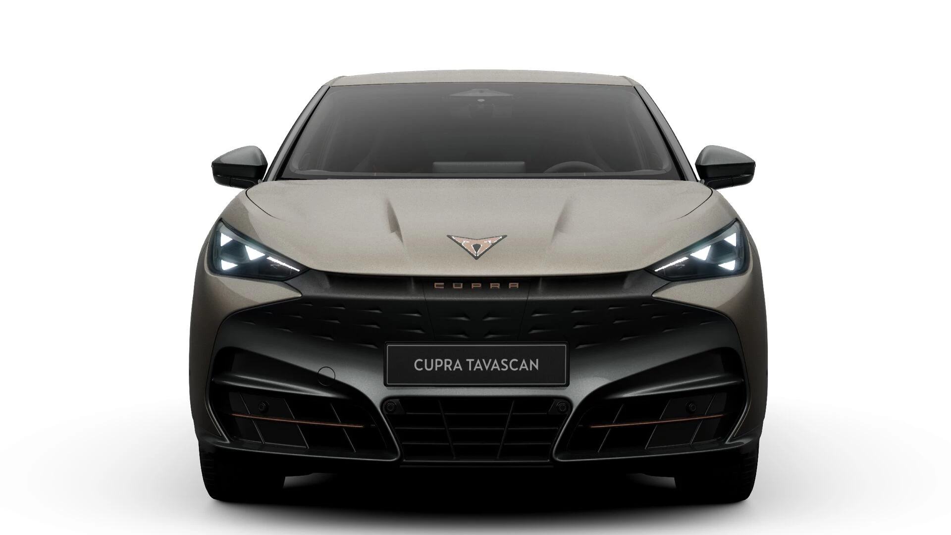 CUPRA Tavascan Business